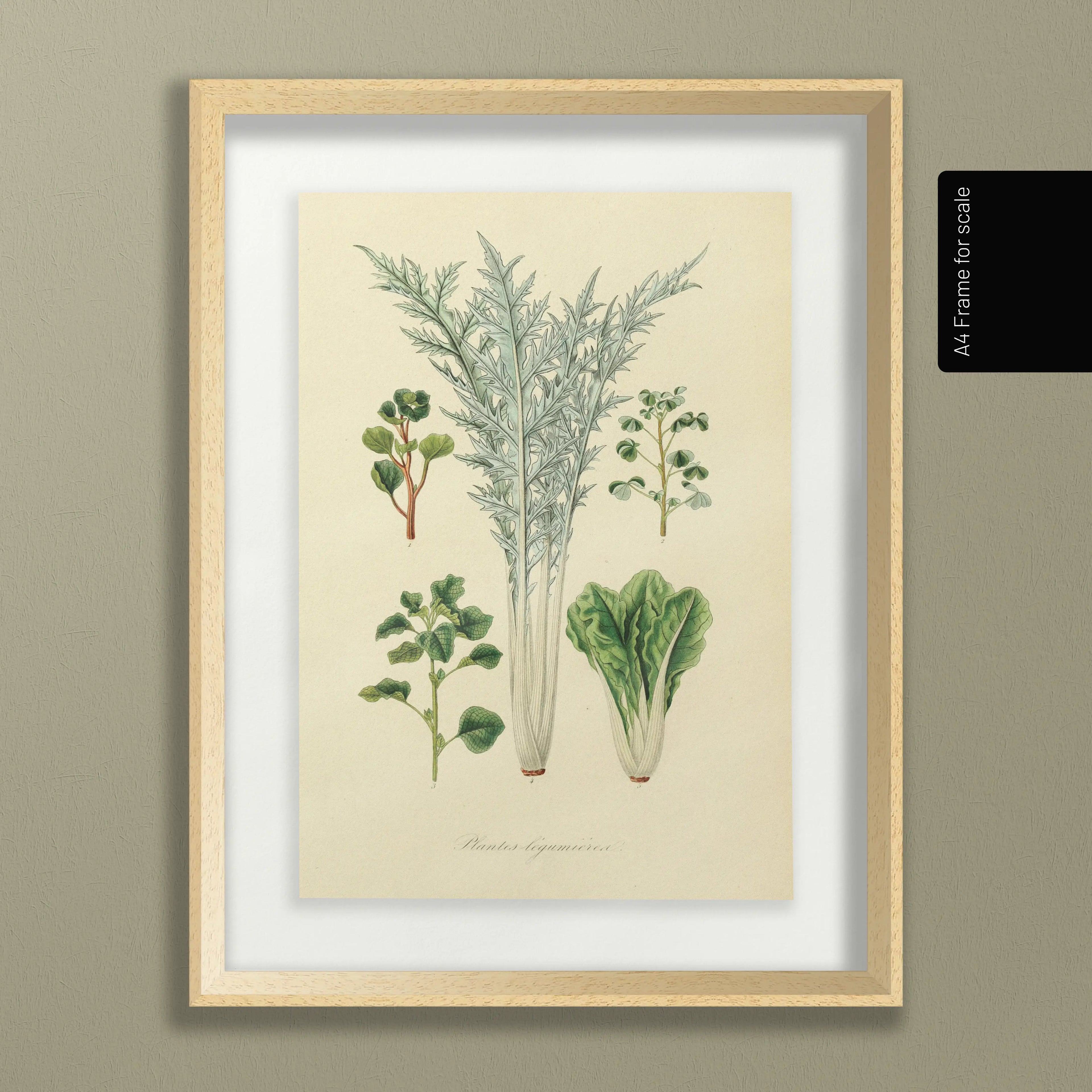 Fruits & Vegetables: Plate No. 02