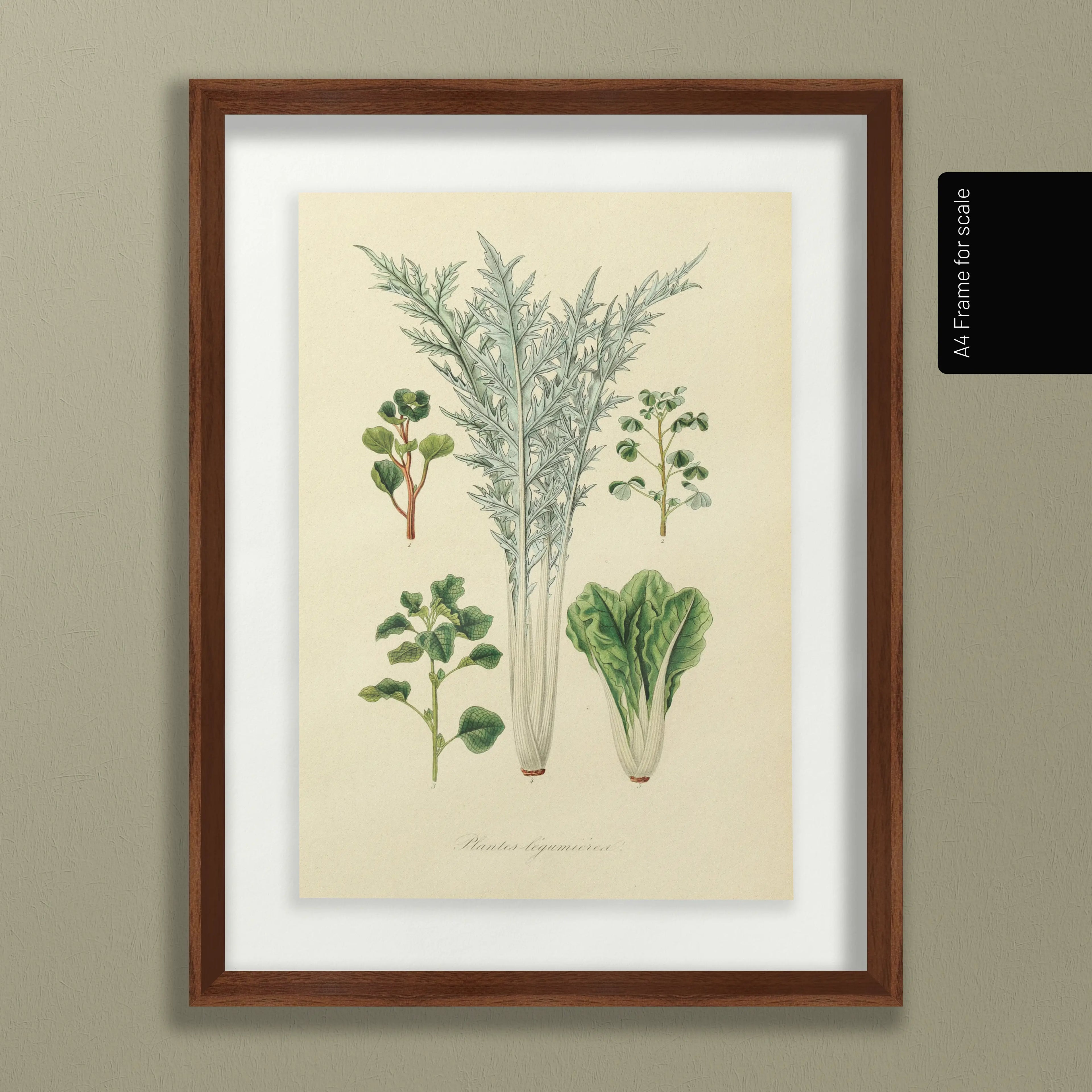 Fruits & Vegetables: Plate No. 02