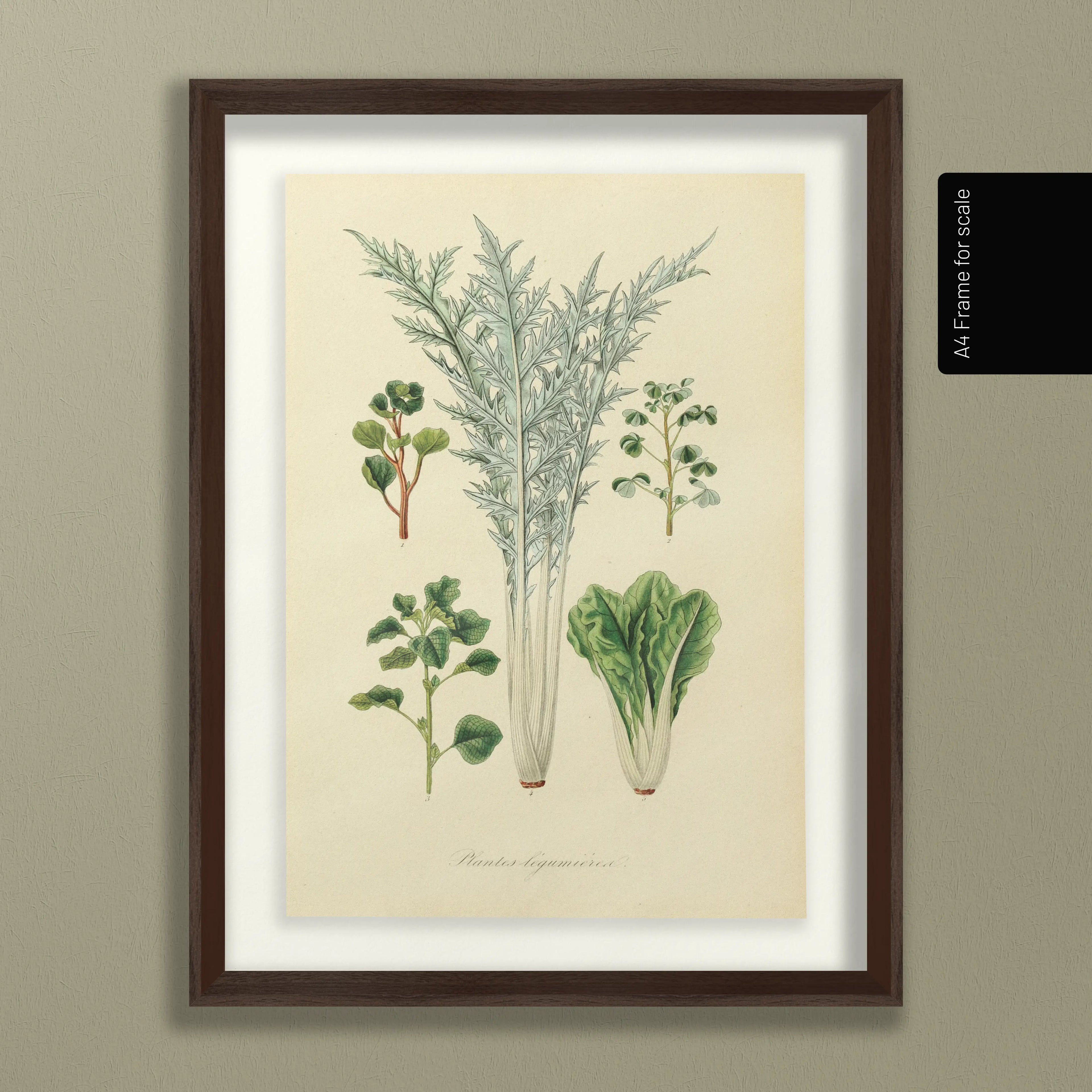 Fruits & Vegetables: Plate No. 02