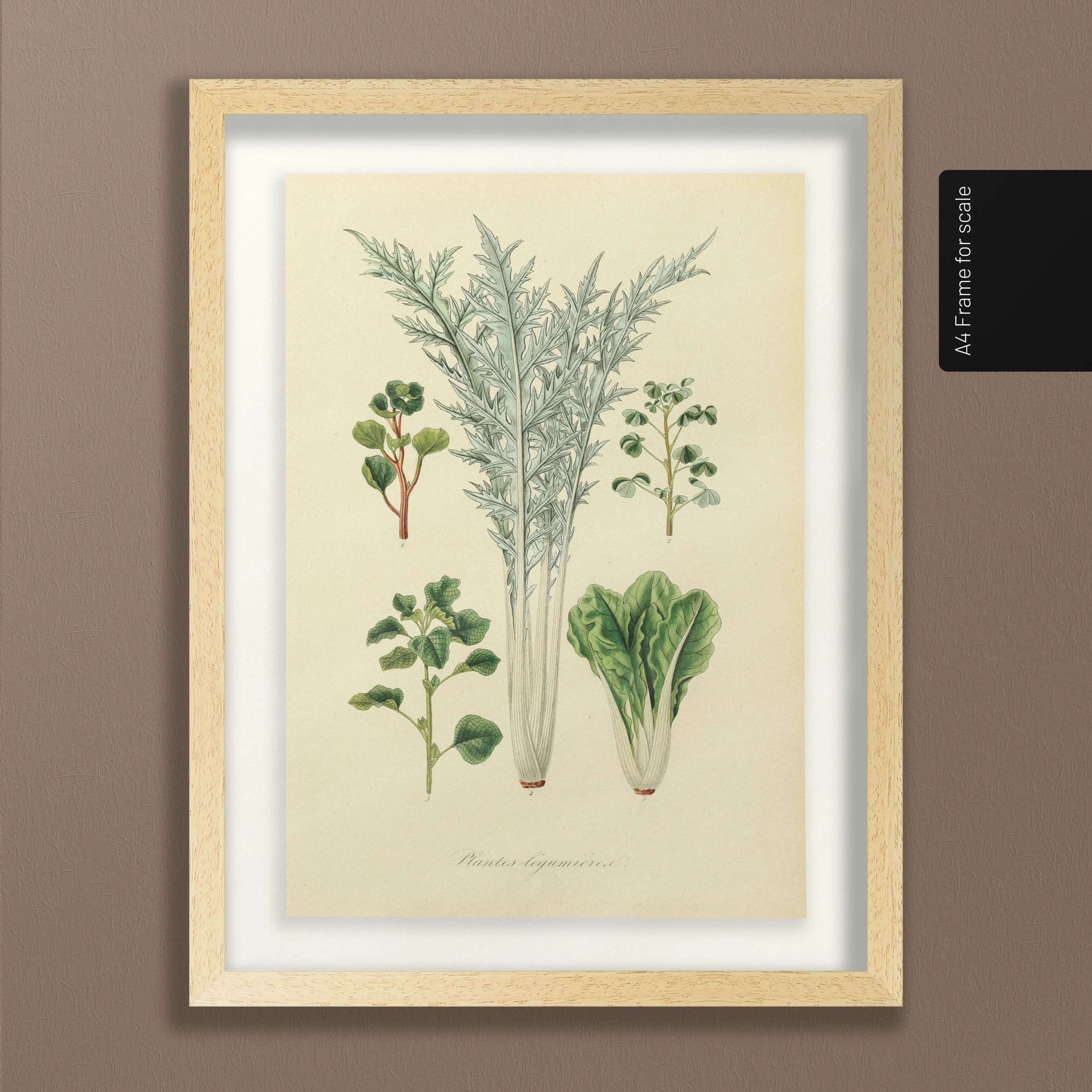 Fruits & Vegetables: Plate No. 02