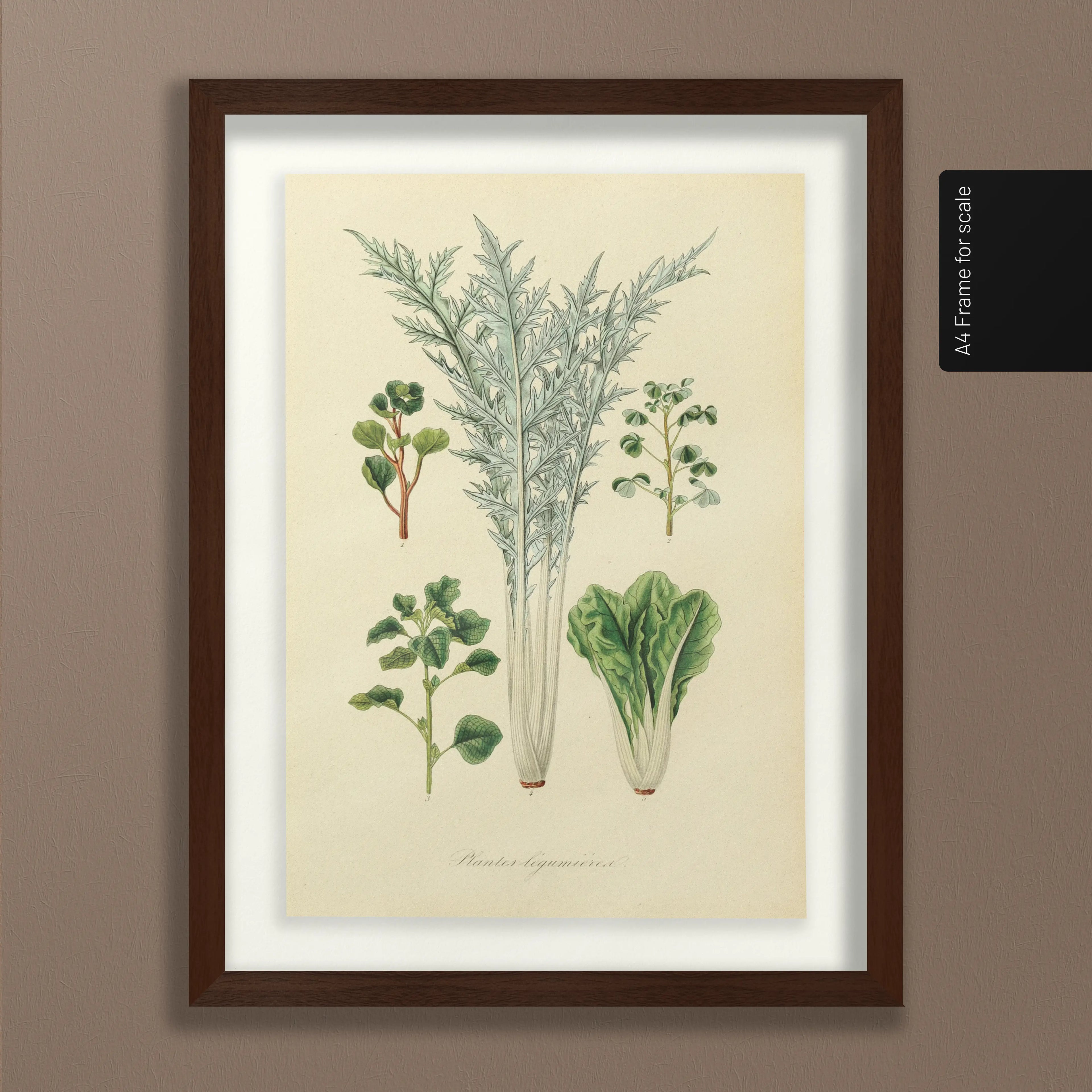 Fruits & Vegetables: Plate No. 02