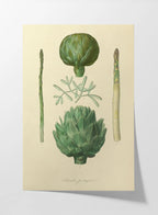 Fruits & Vegetables: Plate No. 03