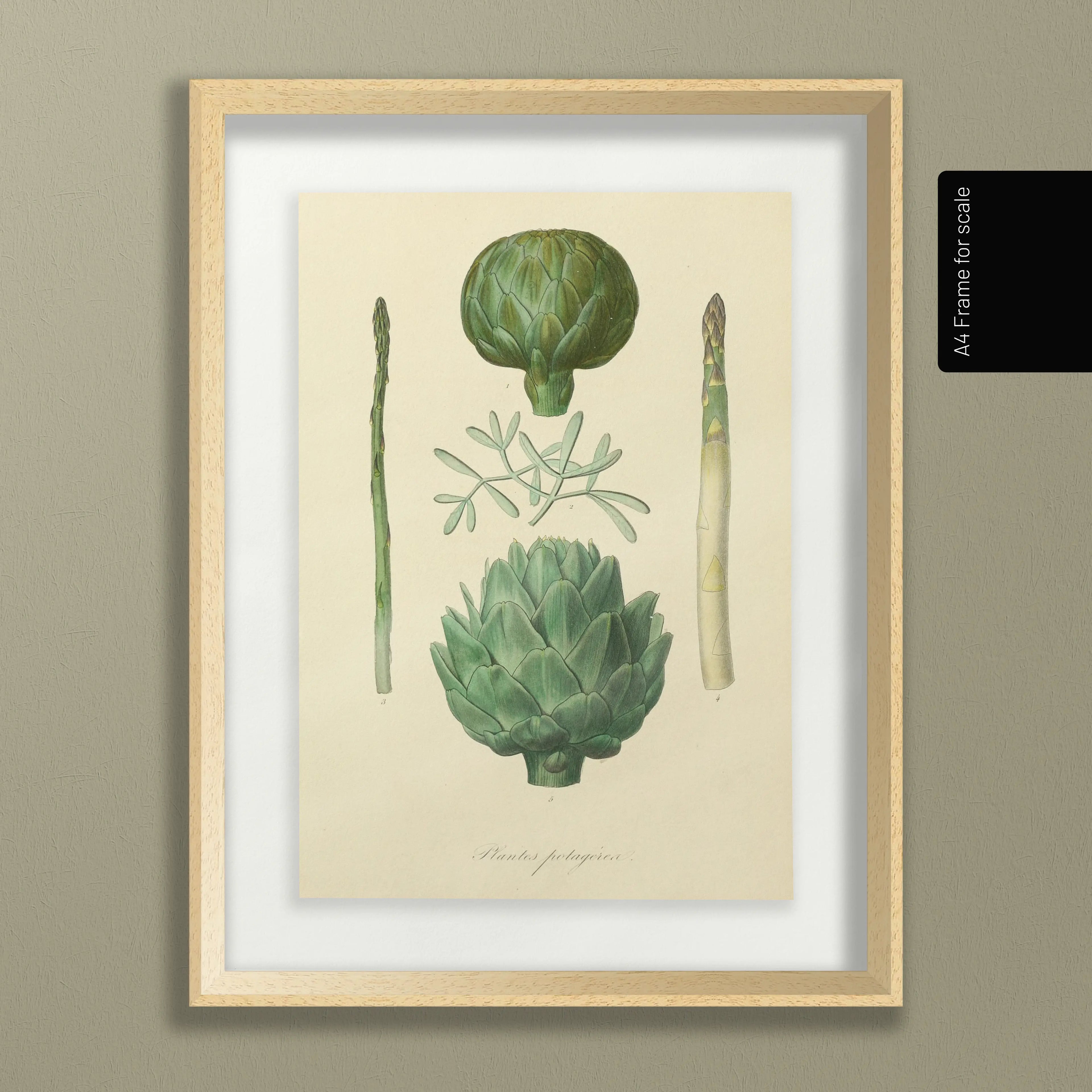 Fruits & Vegetables: Plate No. 03