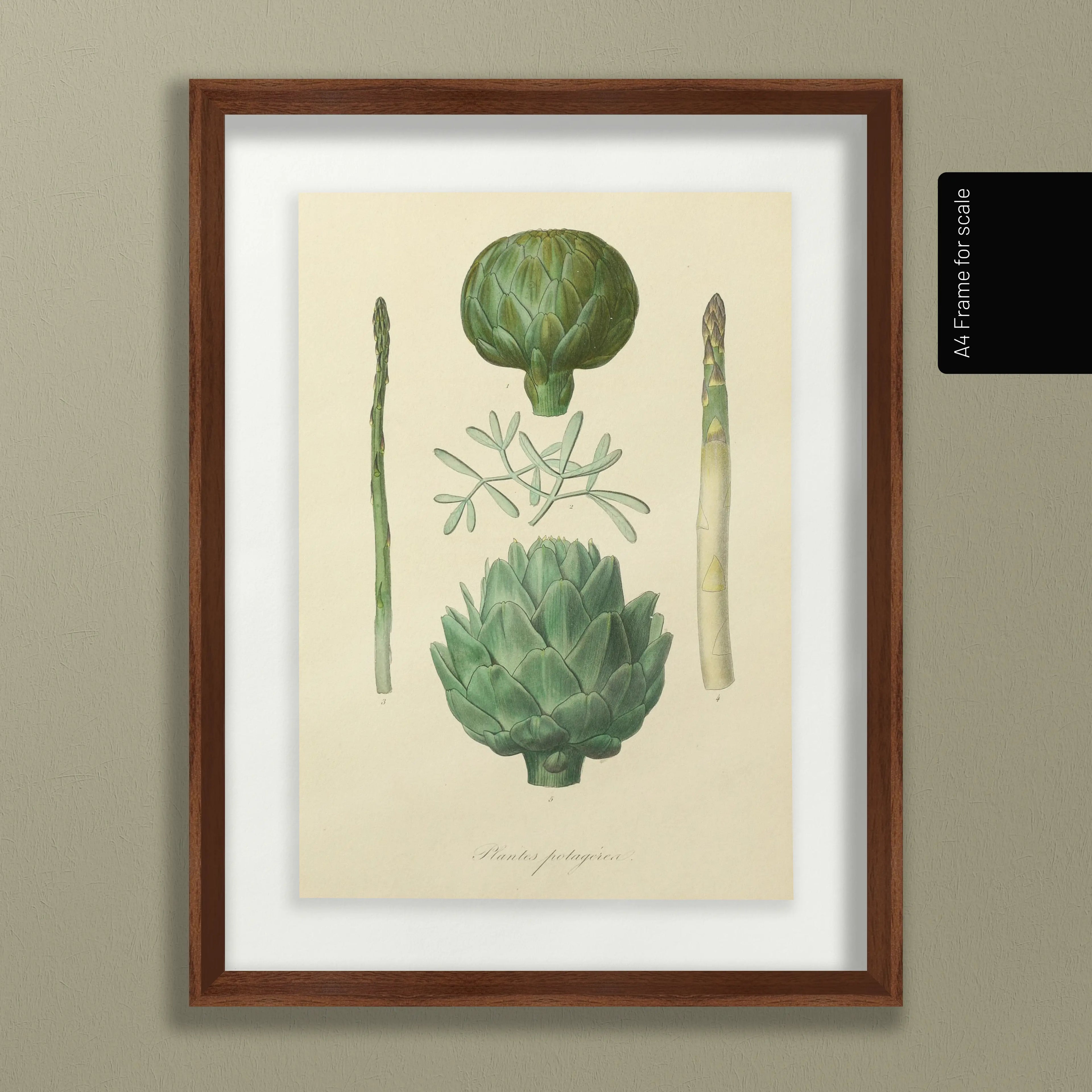 Fruits & Vegetables: Plate No. 03