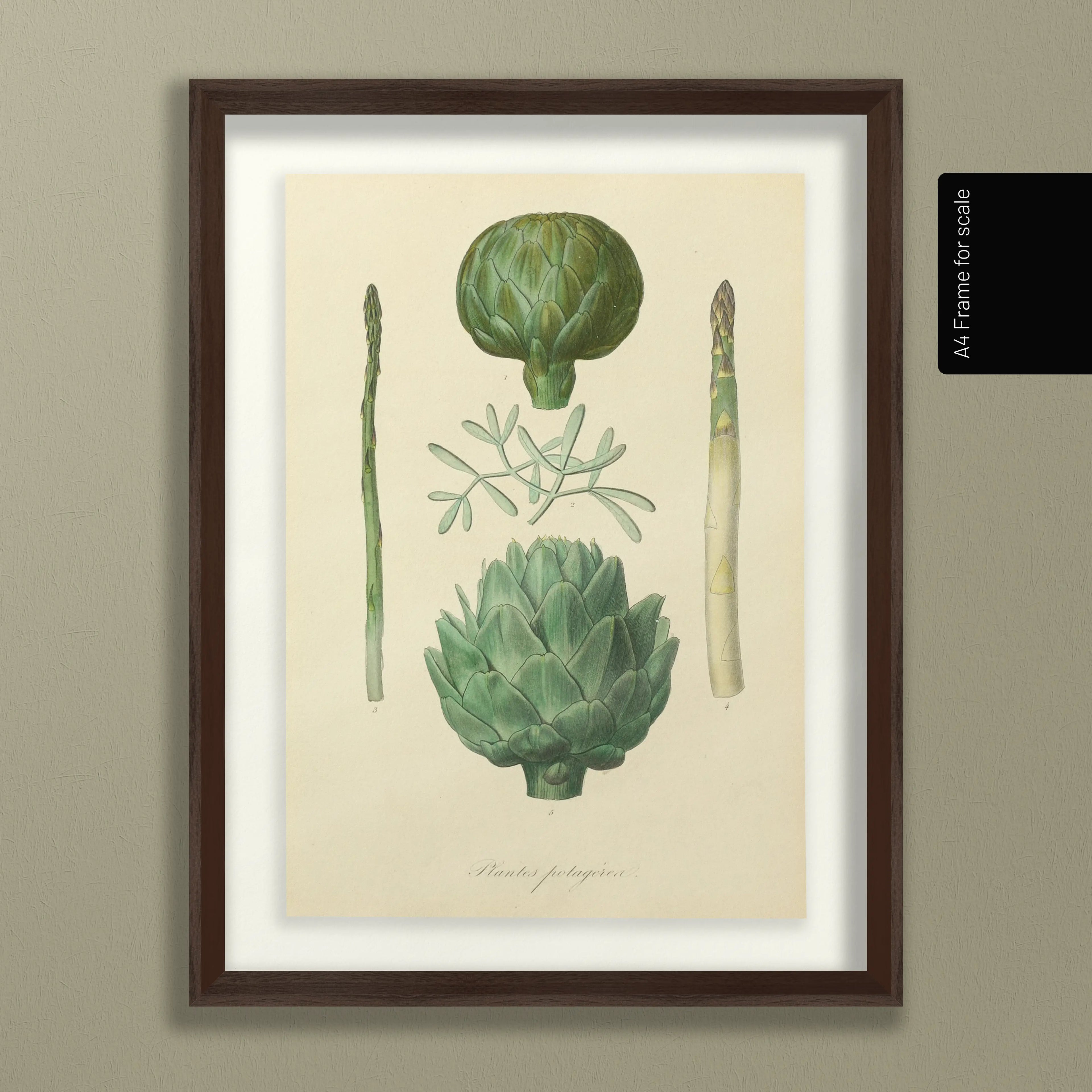 Fruits & Vegetables: Plate No. 03