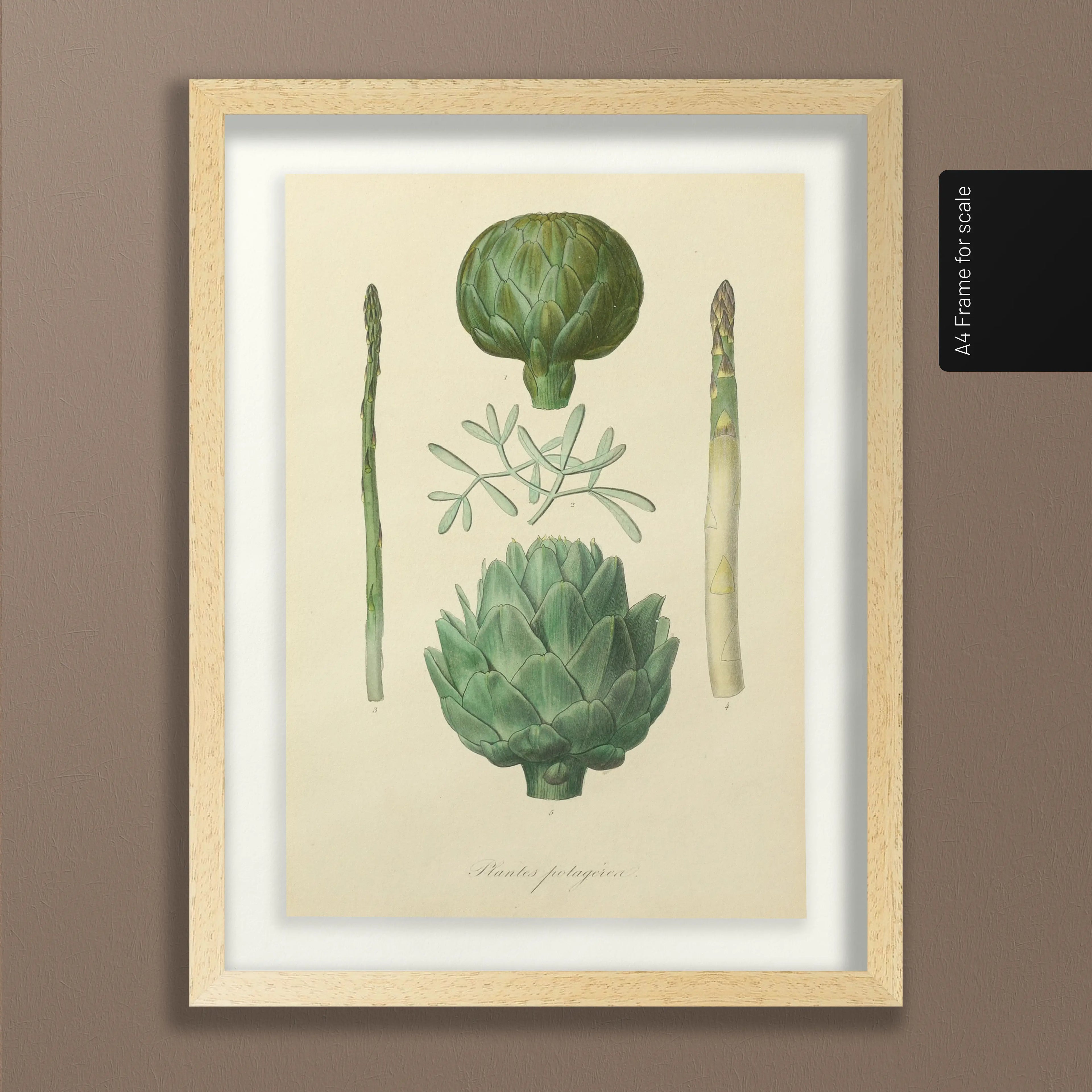 Fruits & Vegetables: Plate No. 03