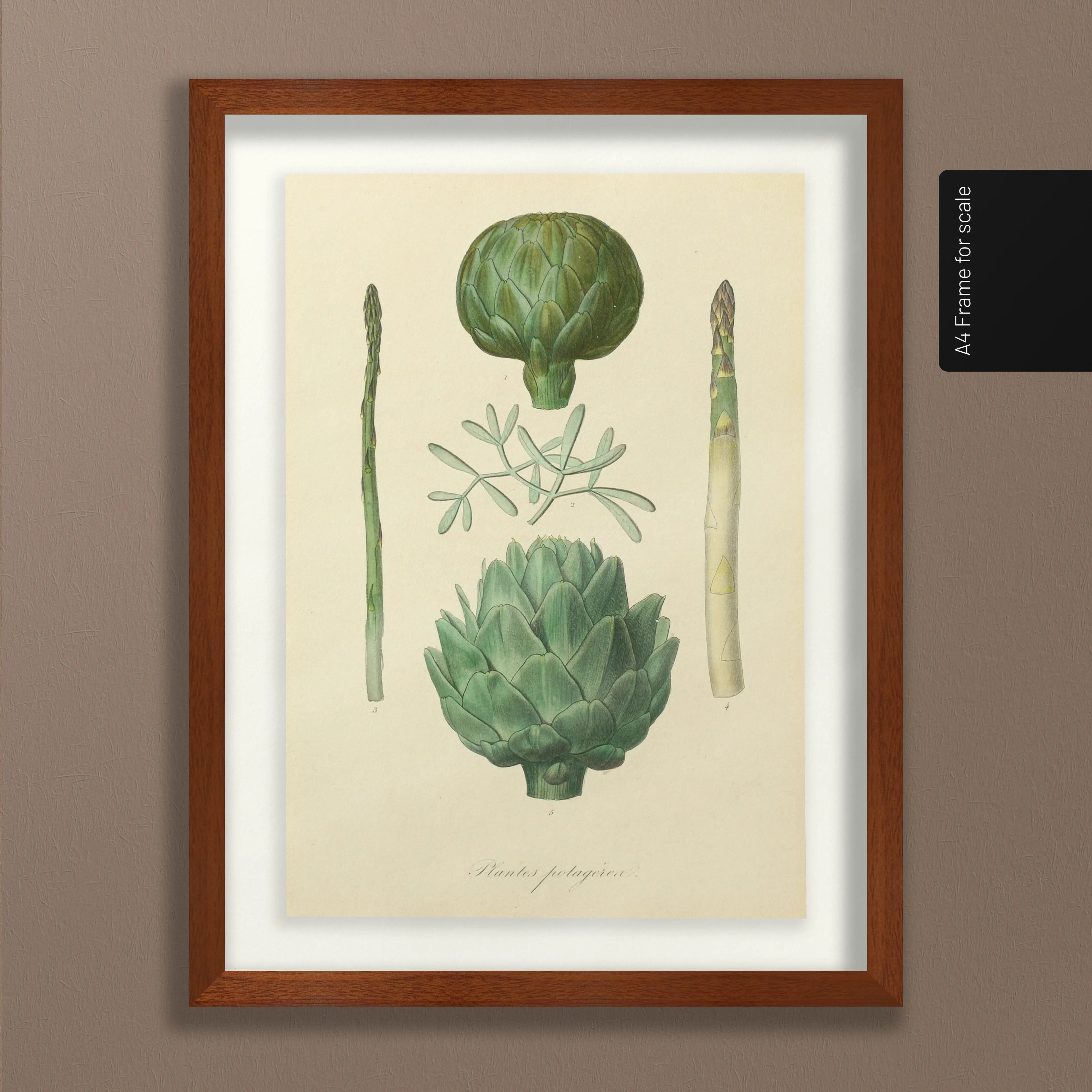 Fruits & Vegetables: Plate No. 03