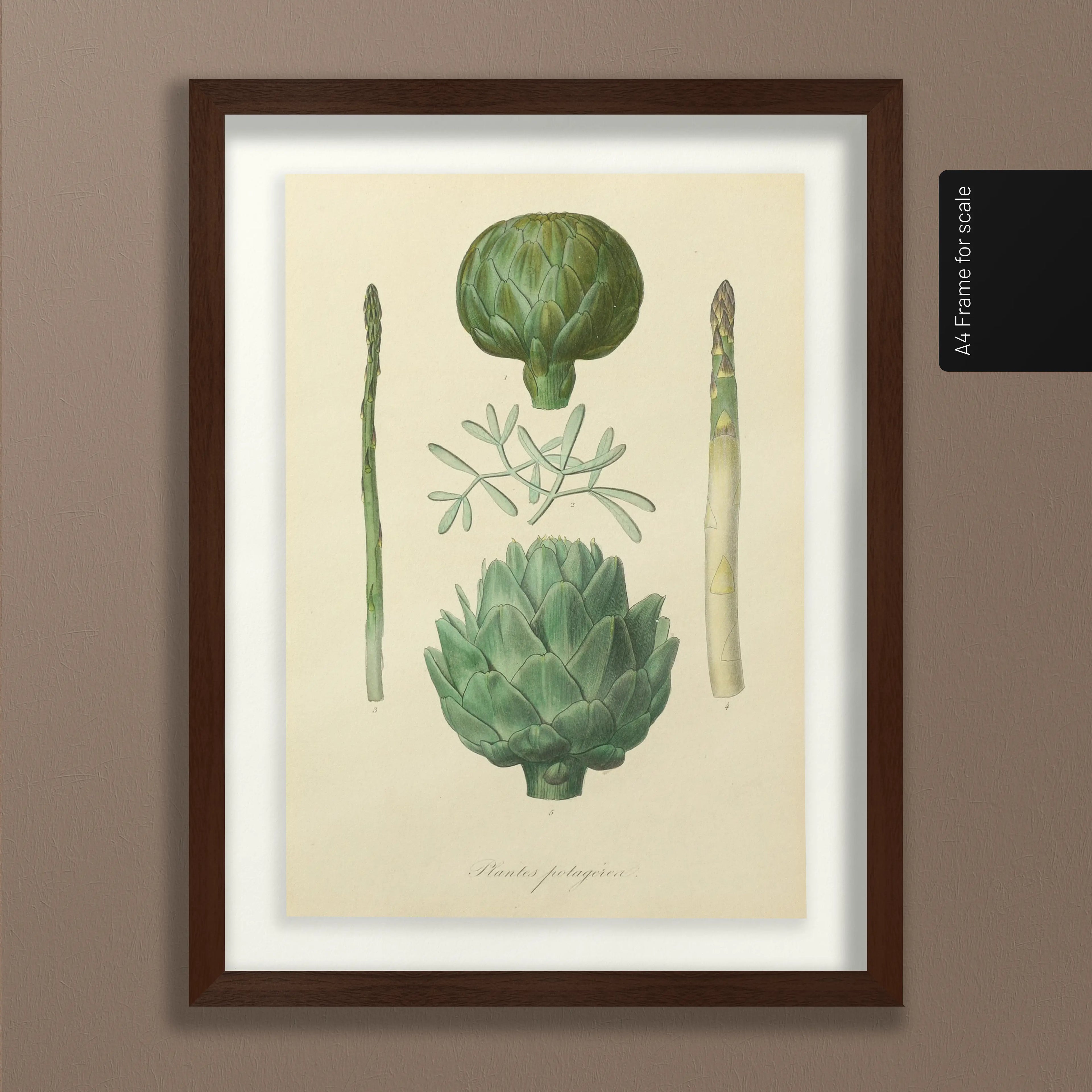 Fruits & Vegetables: Plate No. 03