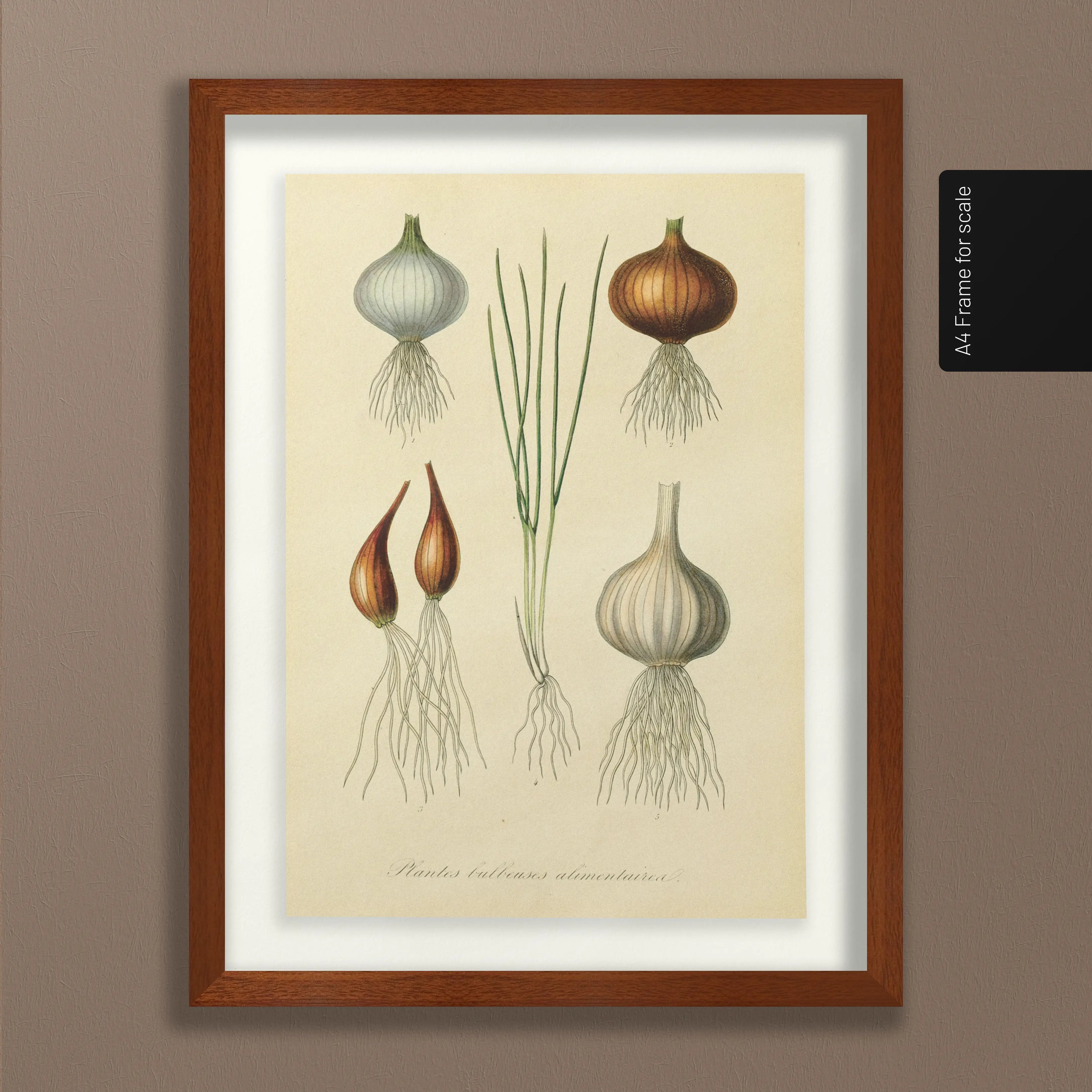 Fruits & Vegetables: Plate No. 04