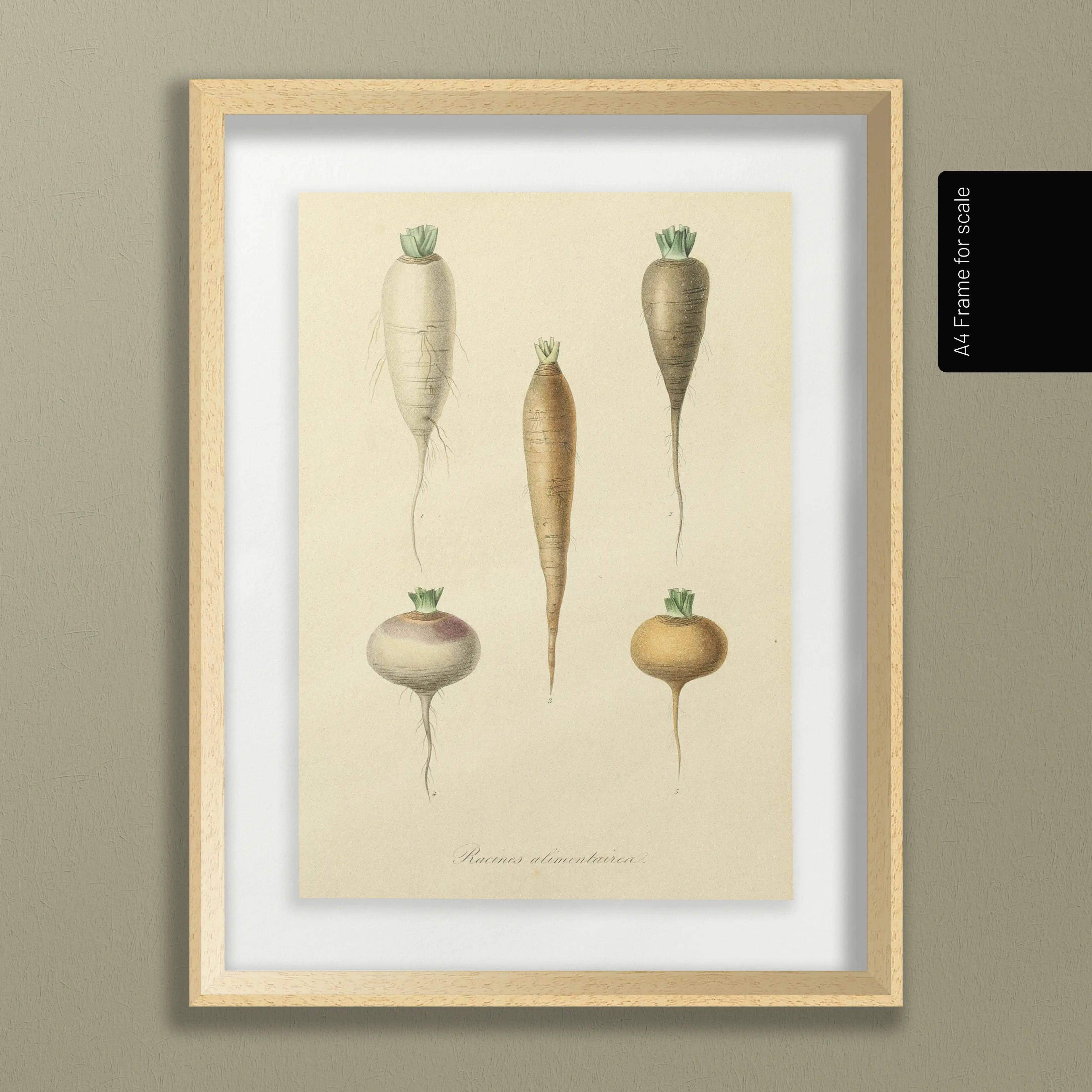 Fruits & Vegetables: Plate No. 05