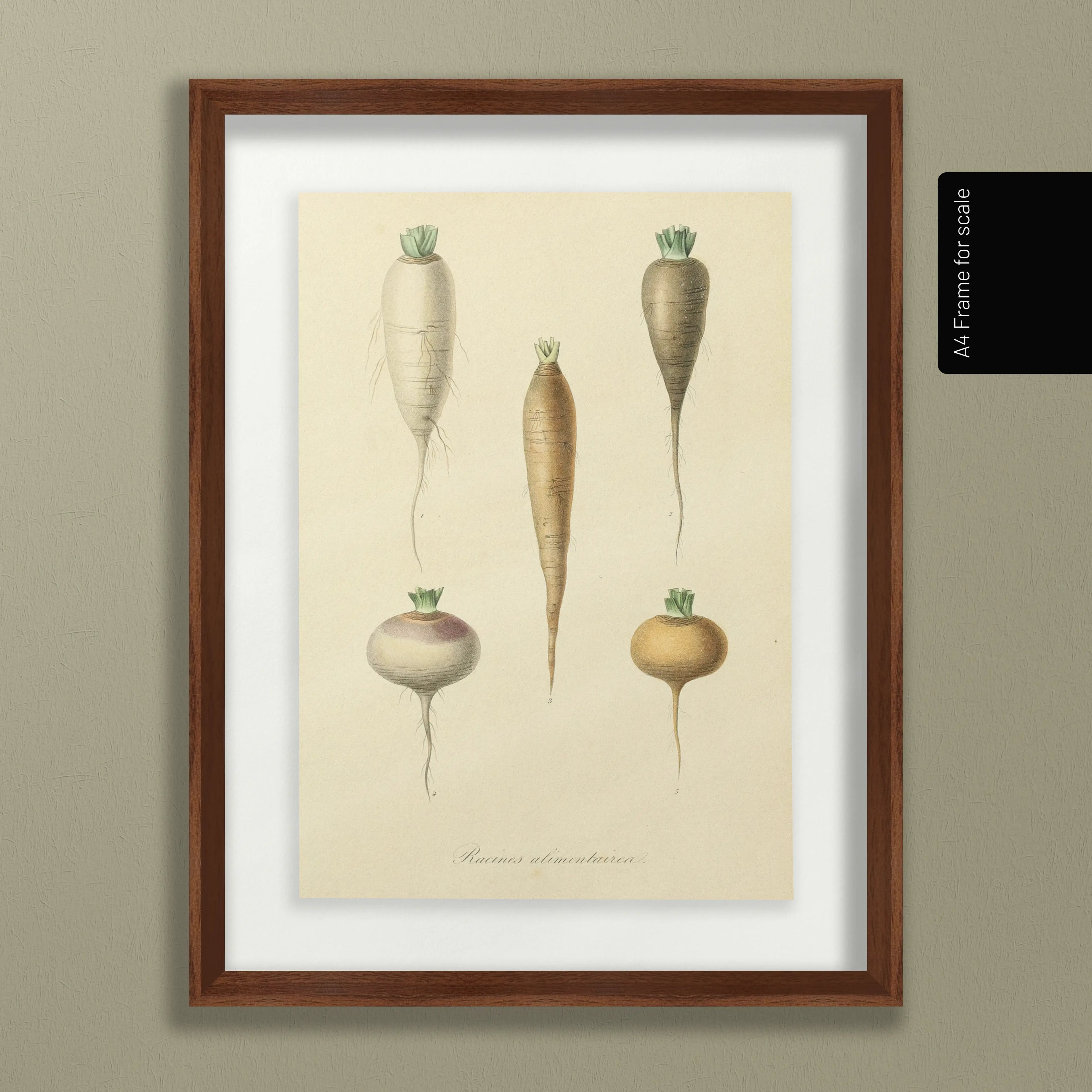 Fruits & Vegetables: Plate No. 05