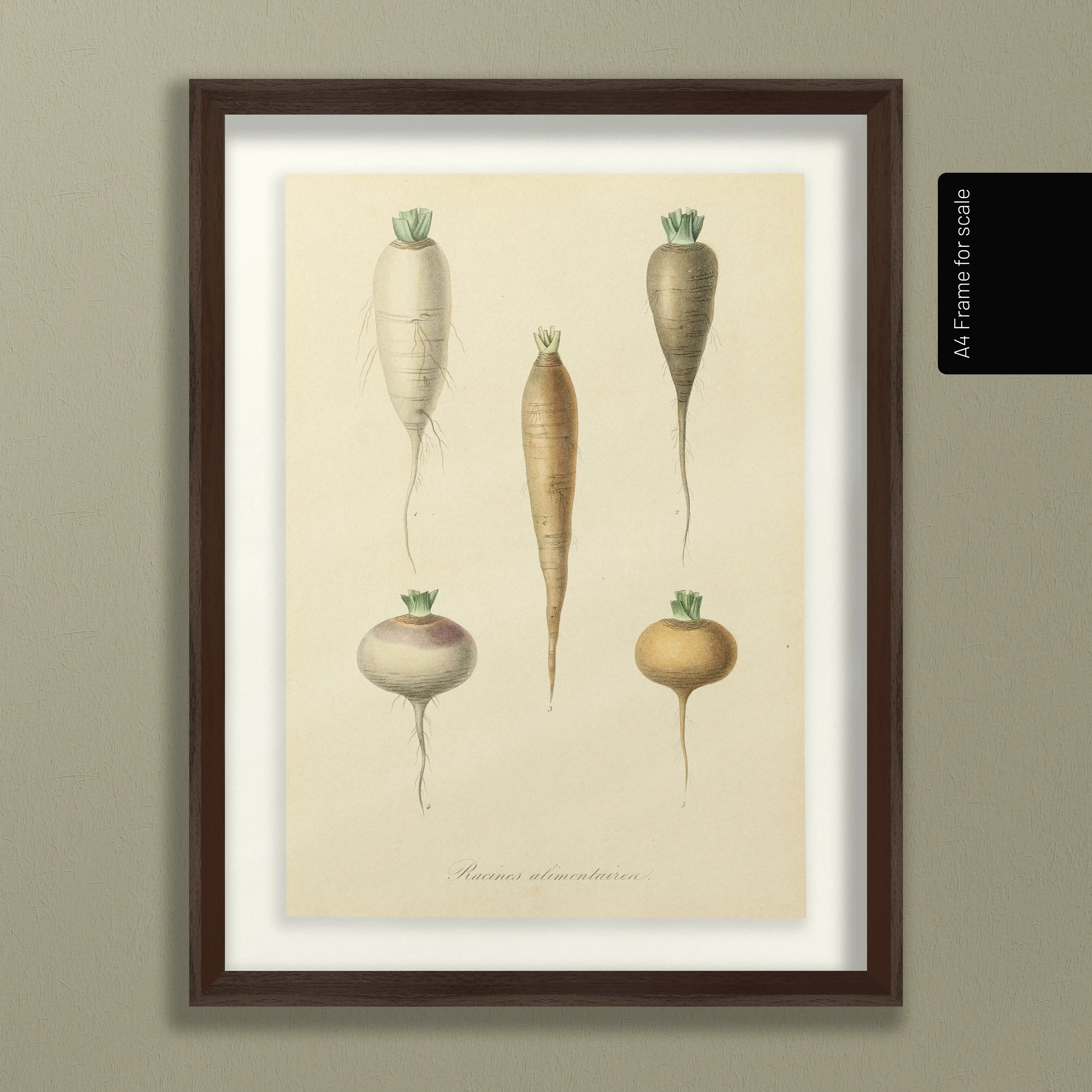 Fruits & Vegetables: Plate No. 05