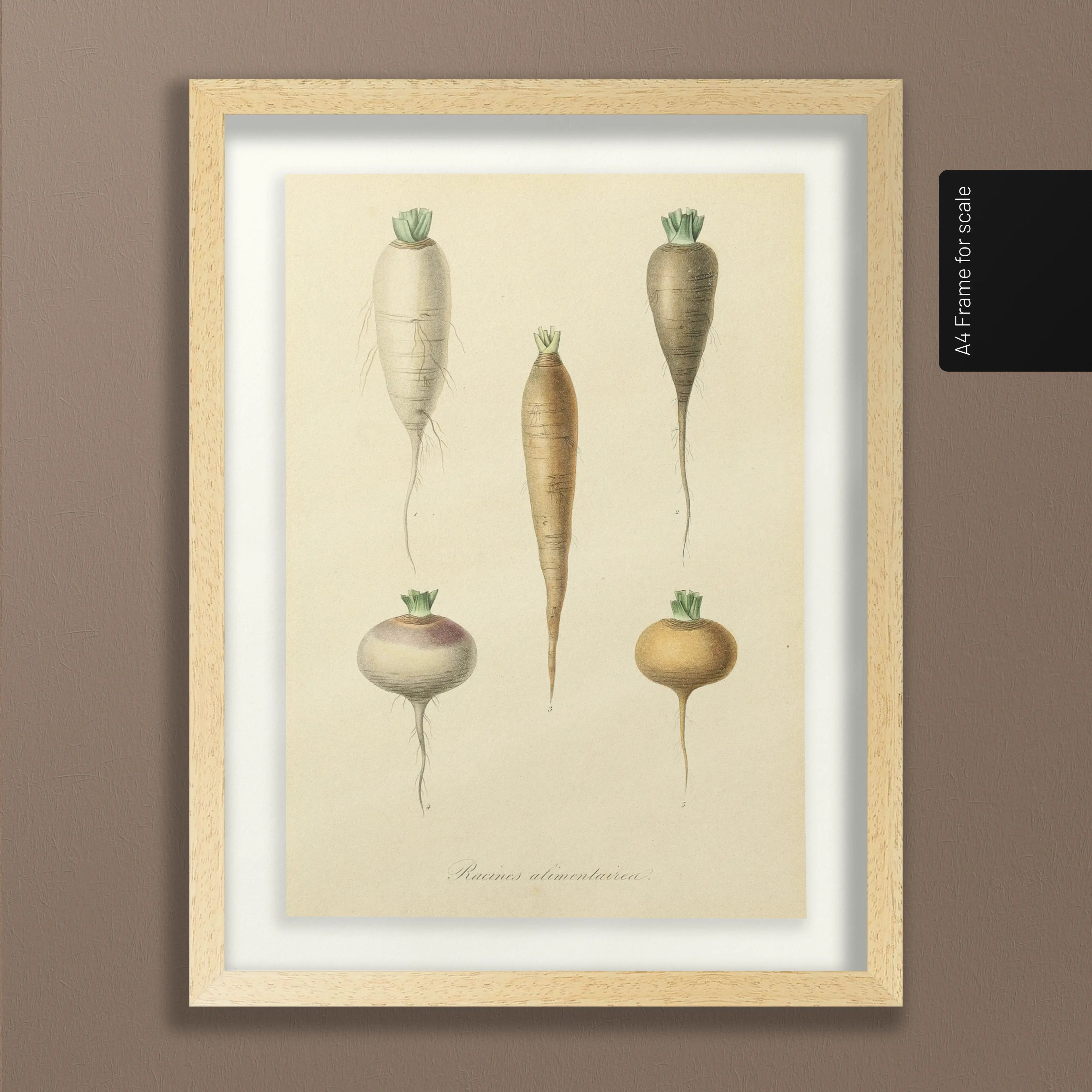 Fruits & Vegetables: Plate No. 05