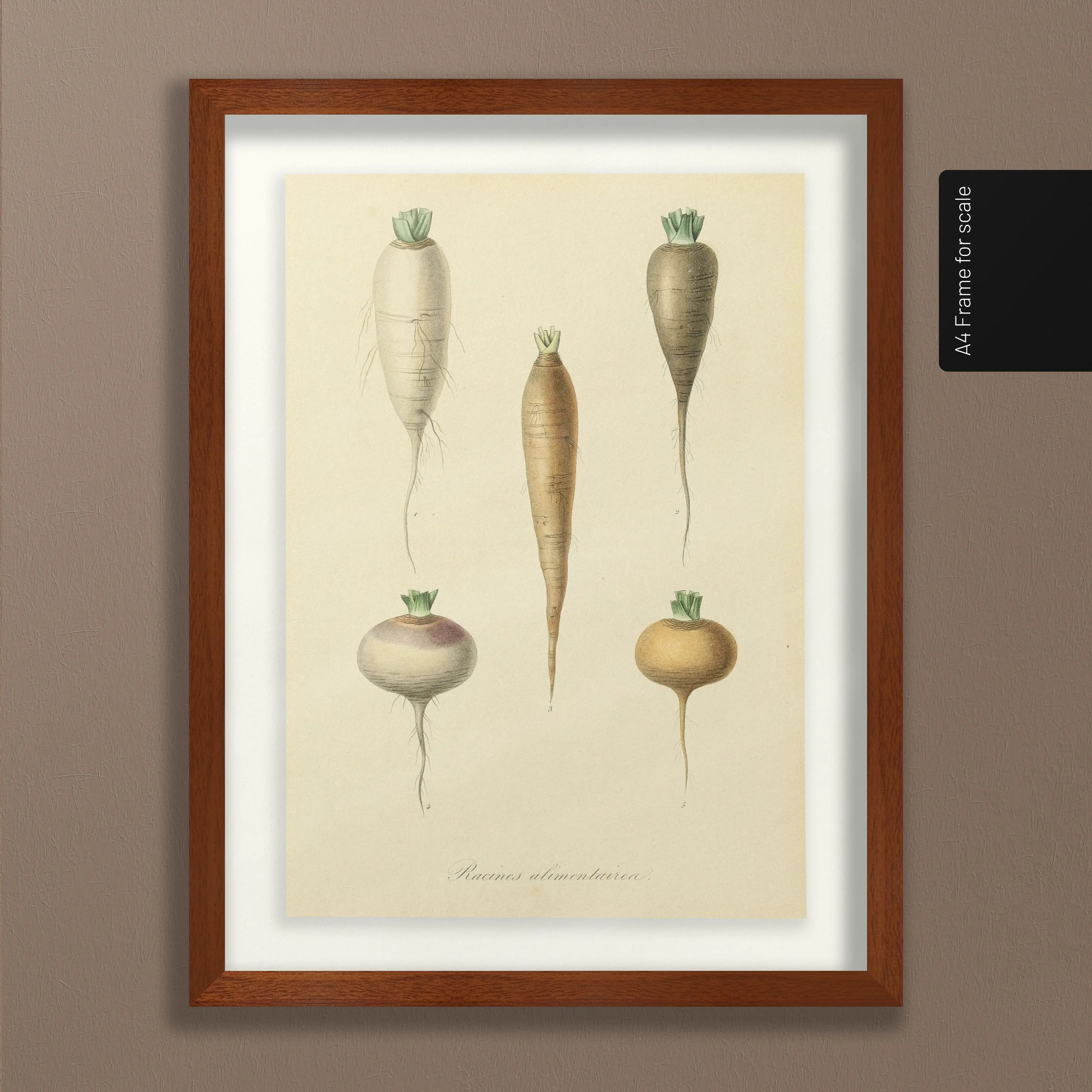 Fruits & Vegetables: Plate No. 05