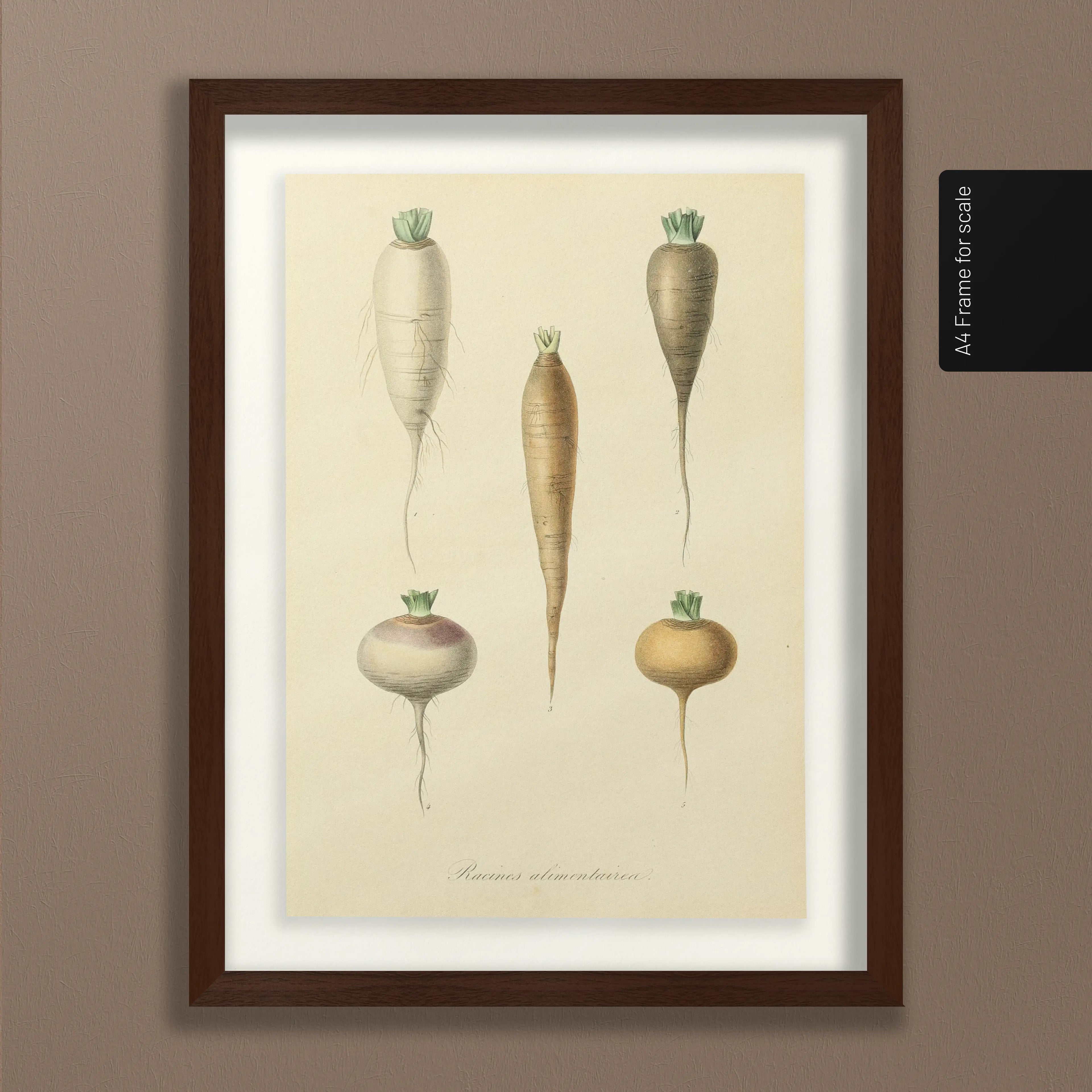 Fruits & Vegetables: Plate No. 05