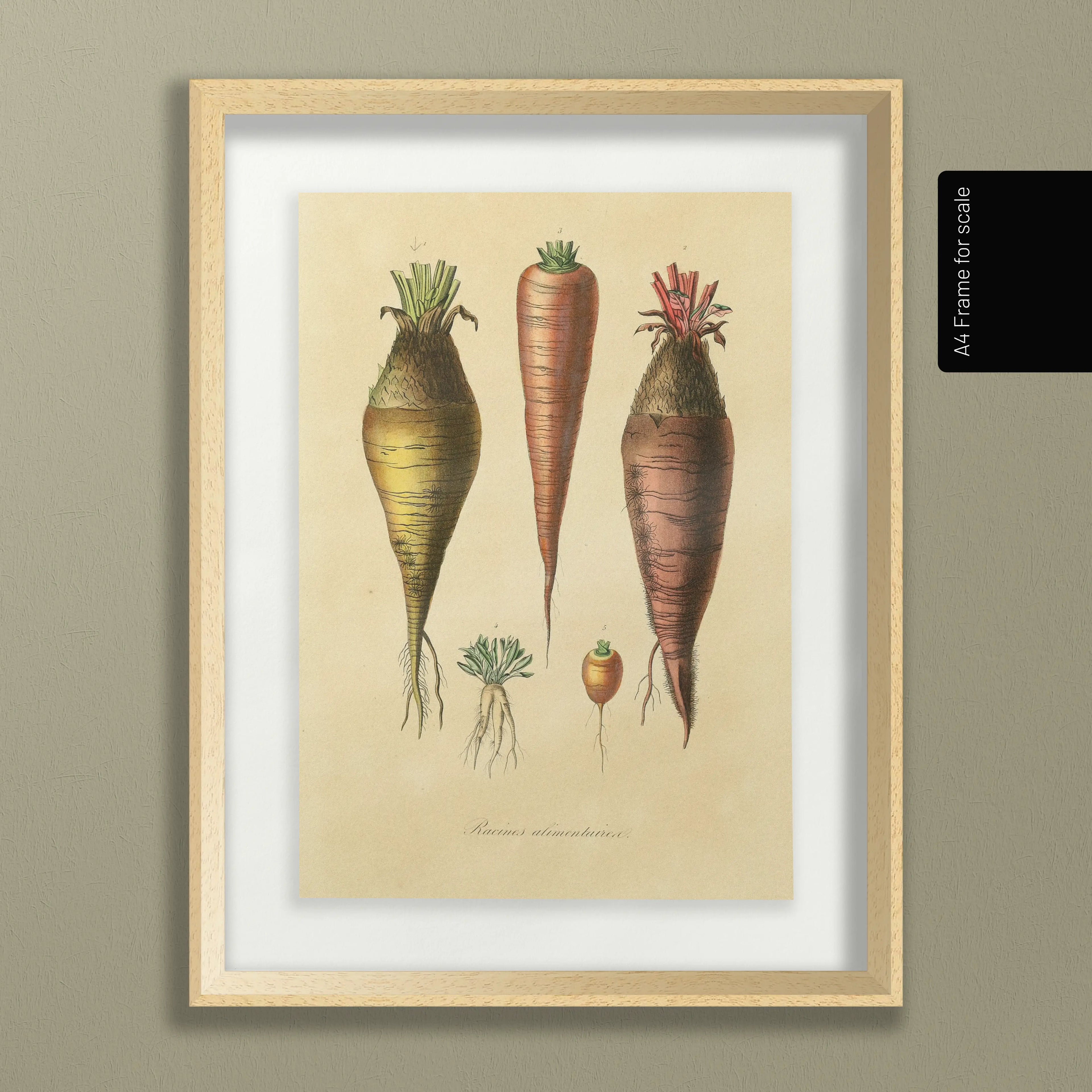 Fruits & Vegetables: Plate No. 06