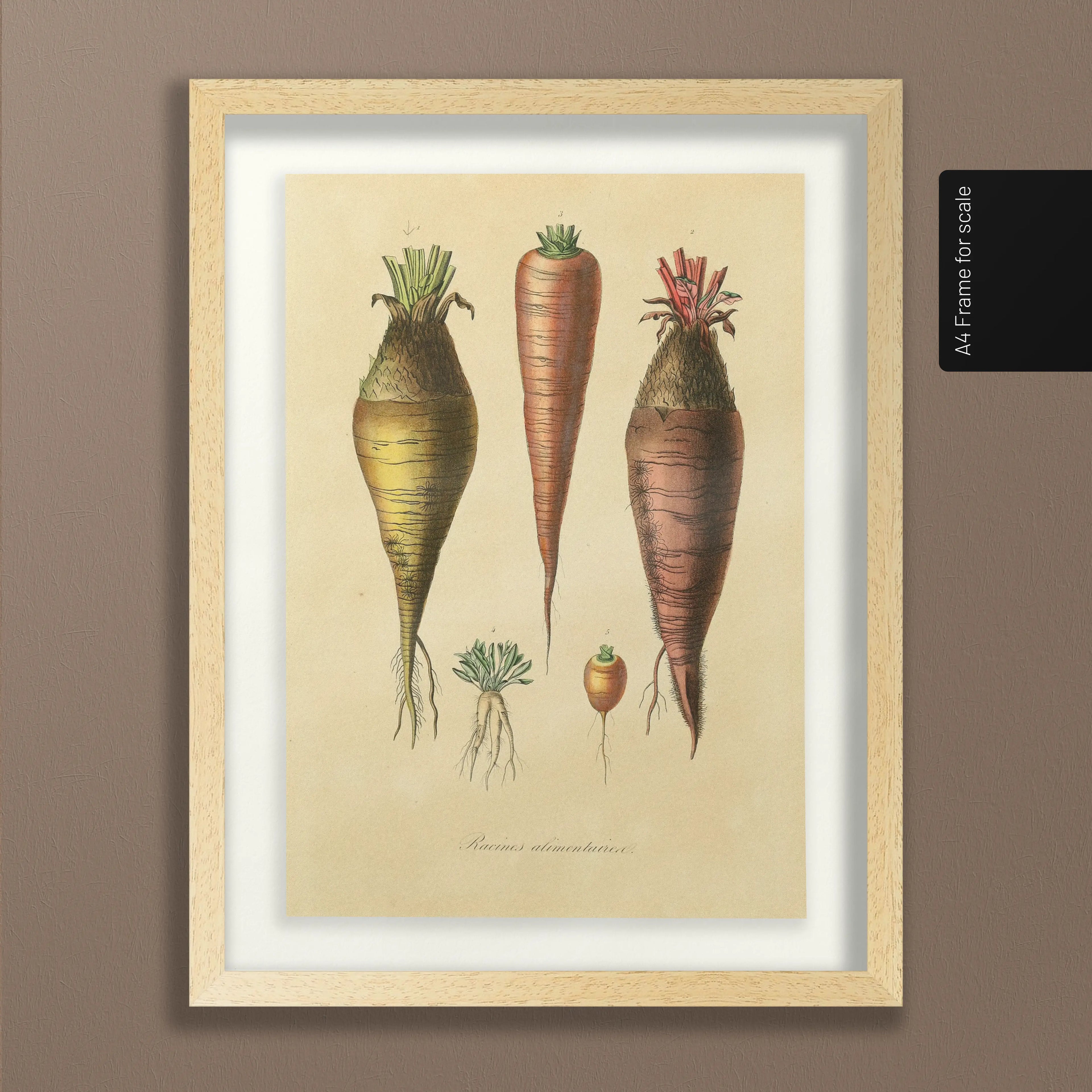 Fruits & Vegetables: Plate No. 06