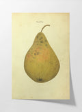 Fruits & Vegetables: Plate No. 07