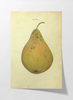 Fruits & Vegetables: Plate No. 07