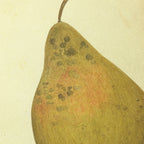 Fruits & Vegetables: Plate No. 07