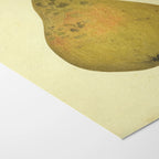 Fruits & Vegetables: Plate No. 07