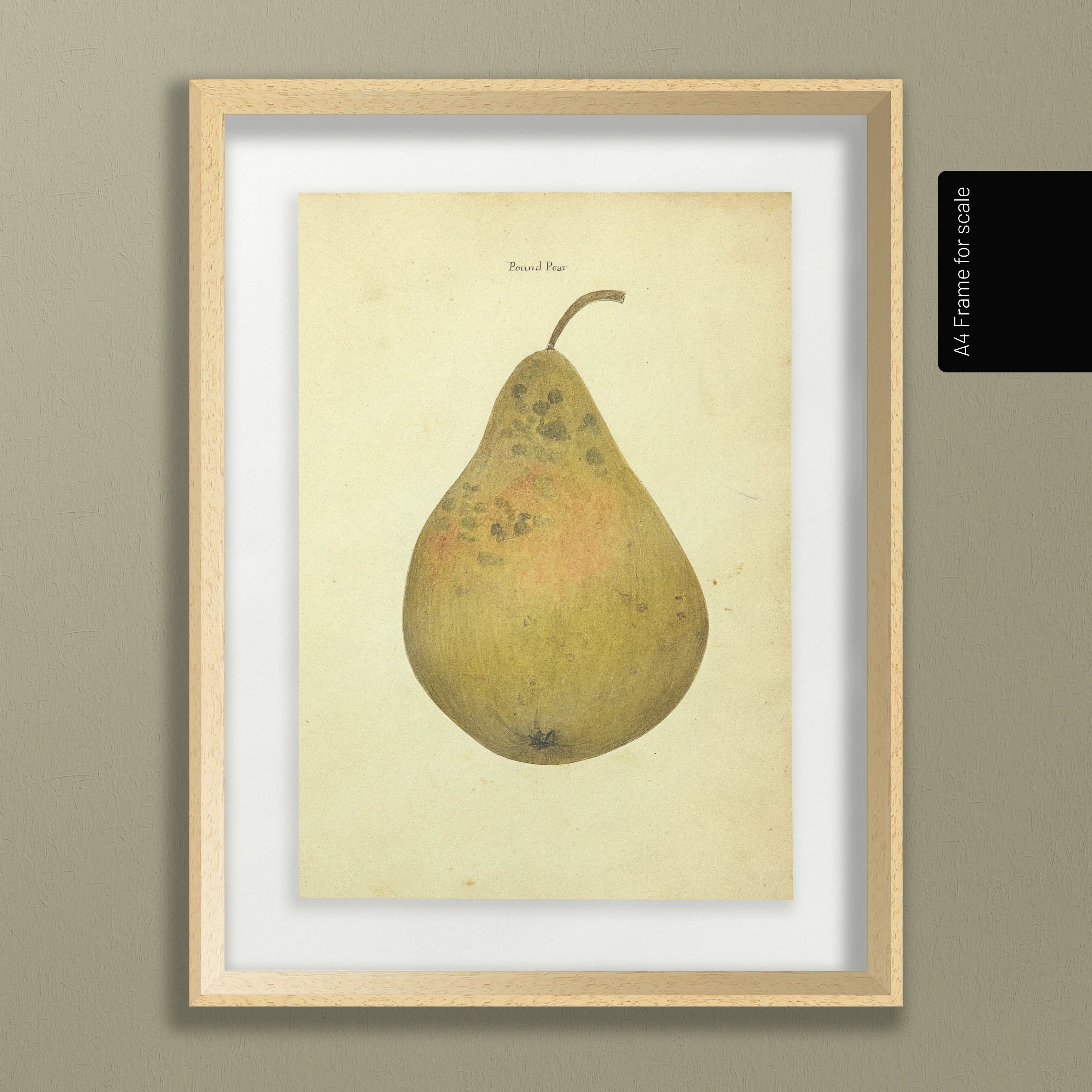 Fruits & Vegetables: Plate No. 07