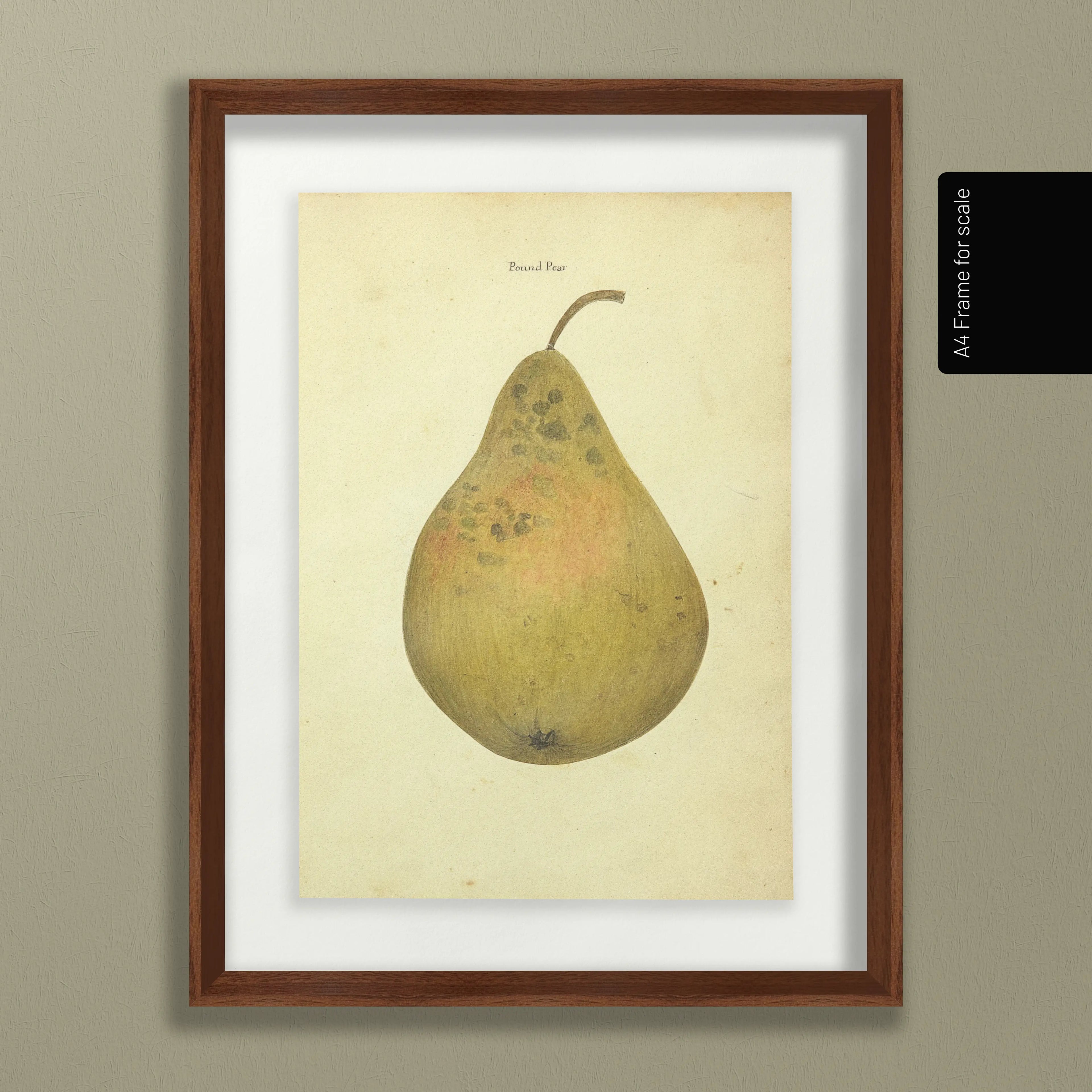 Fruits & Vegetables: Plate No. 07