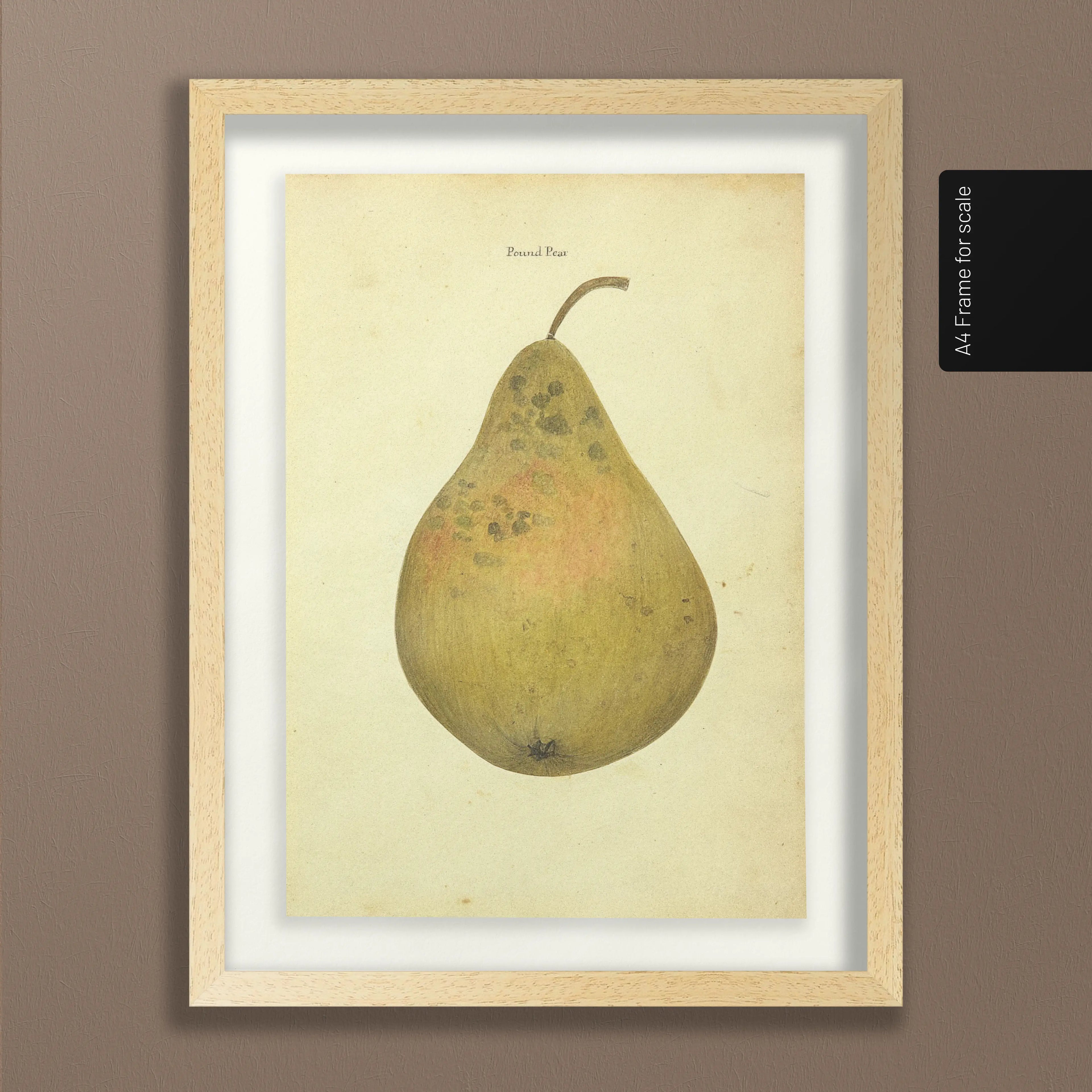 Fruits & Vegetables: Plate No. 07