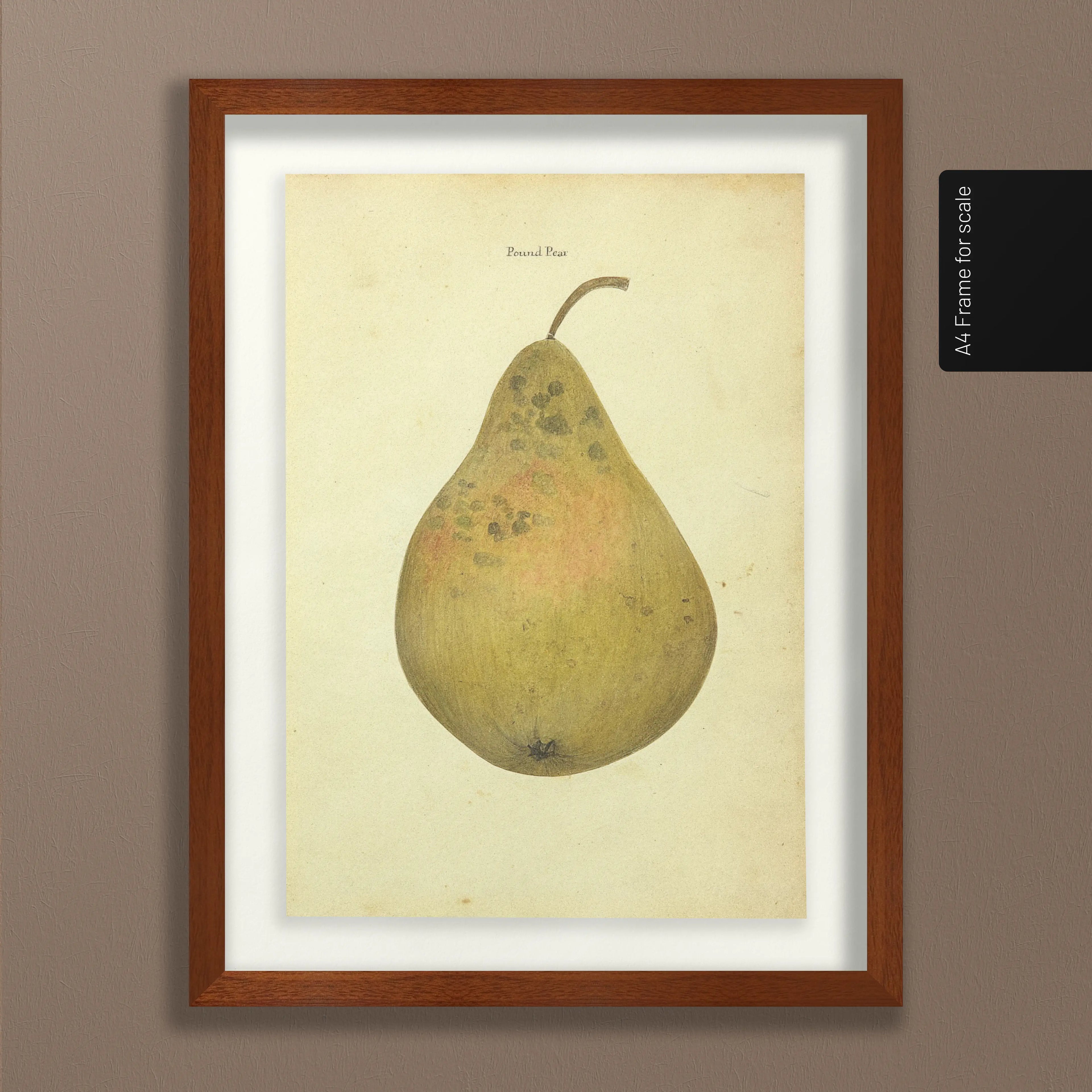 Fruits & Vegetables: Plate No. 07