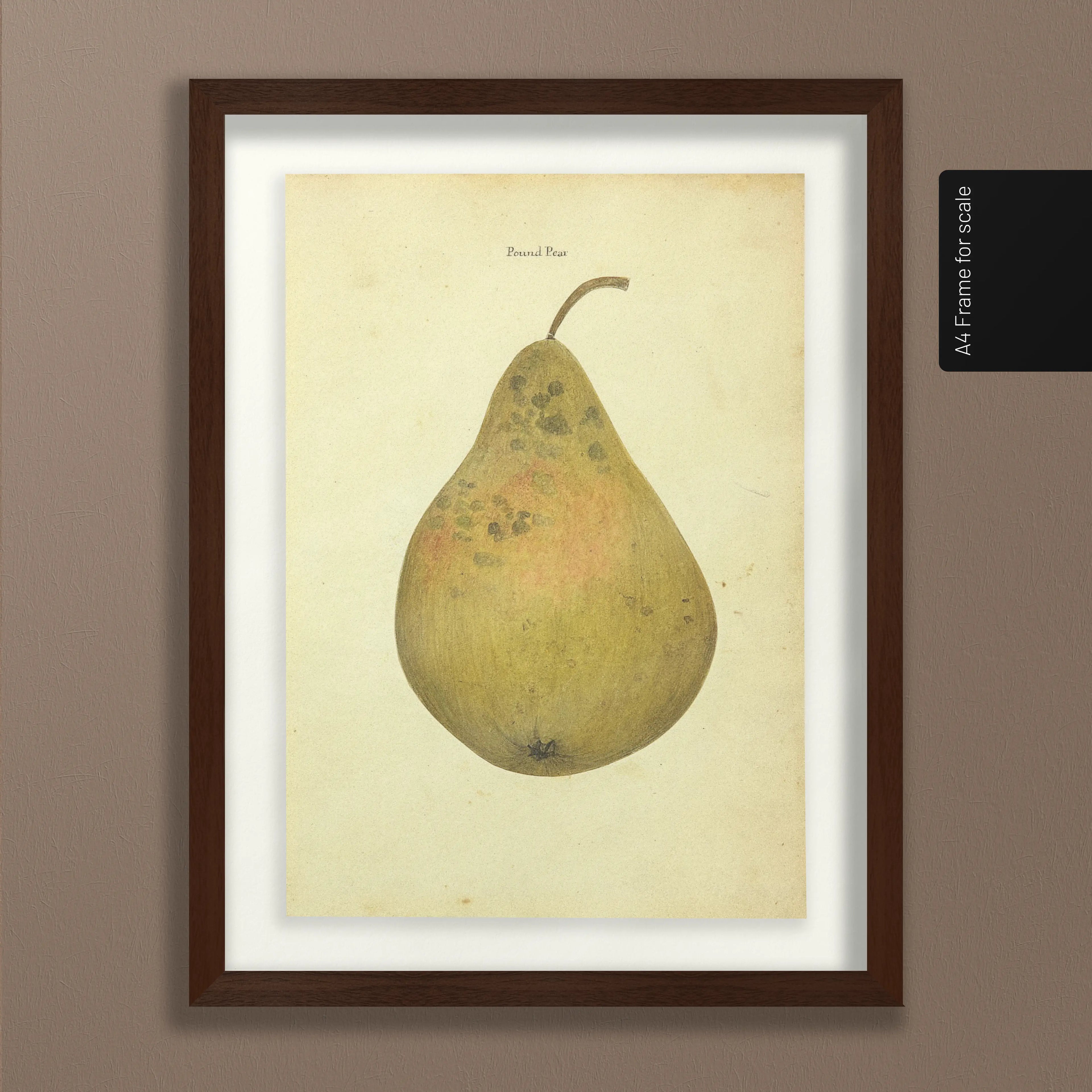 Fruits & Vegetables: Plate No. 07