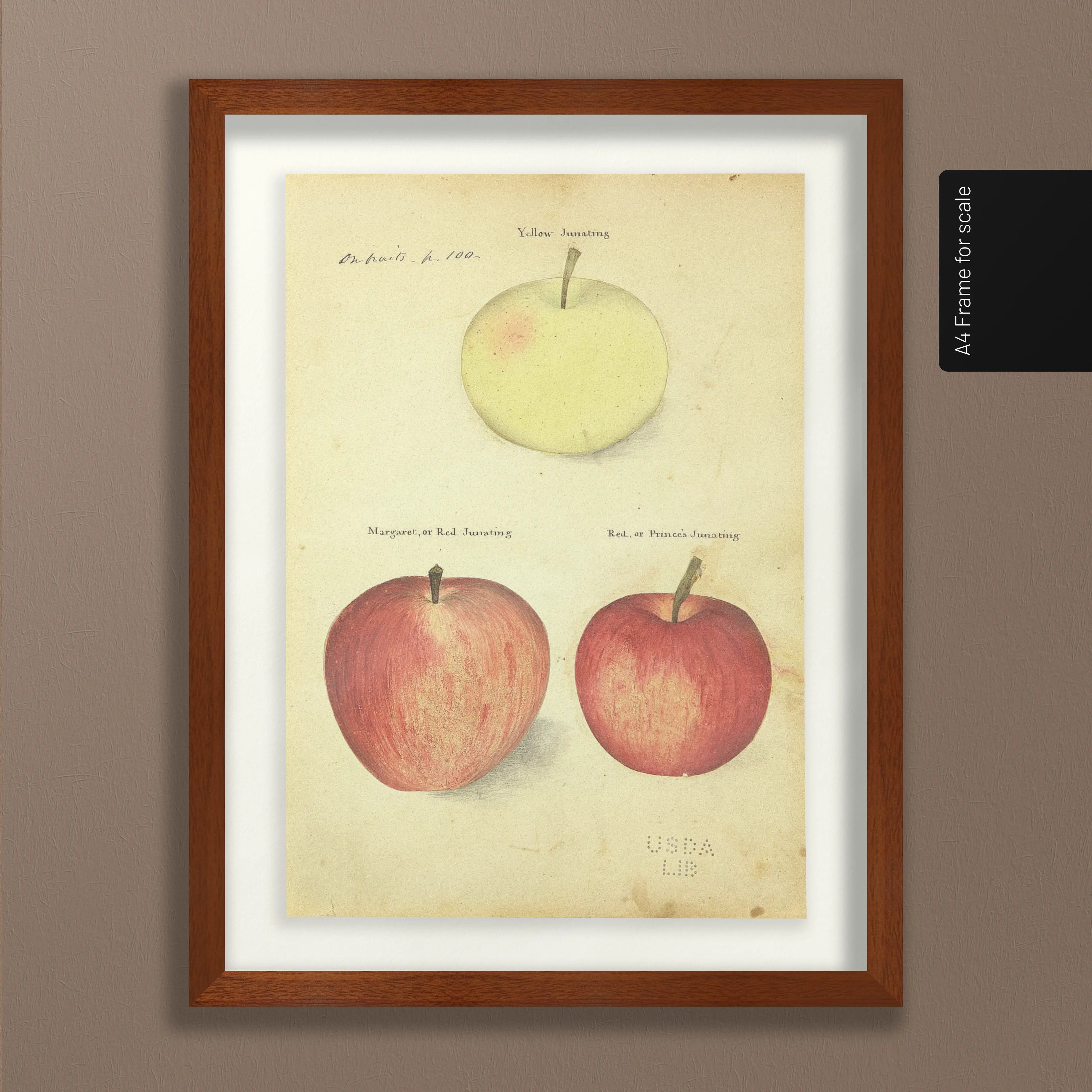 Fruits & Vegetables: Plate No. 09