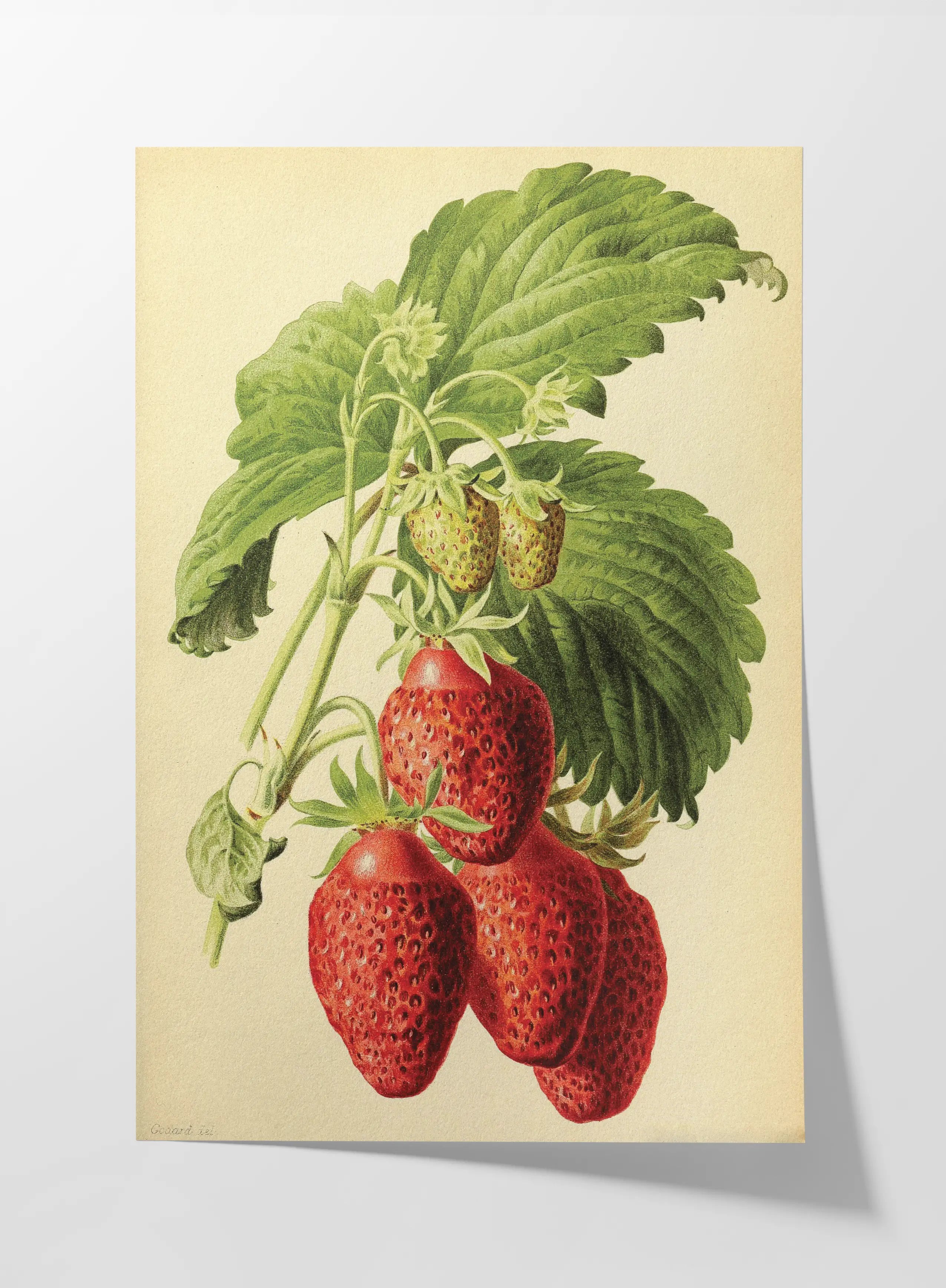 Fruits & Vegetables: Plate No. 10