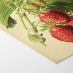 Fruits & Vegetables: Plate No. 10