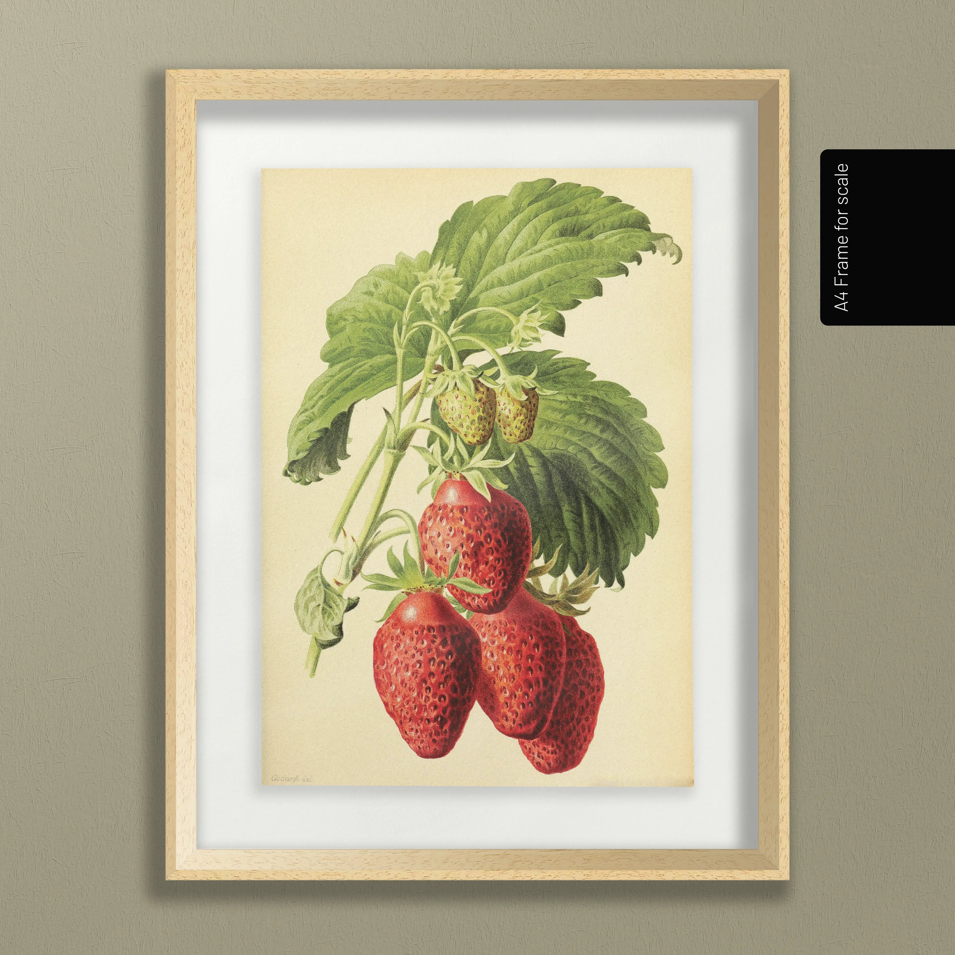 Fruits & Vegetables: Plate No. 10