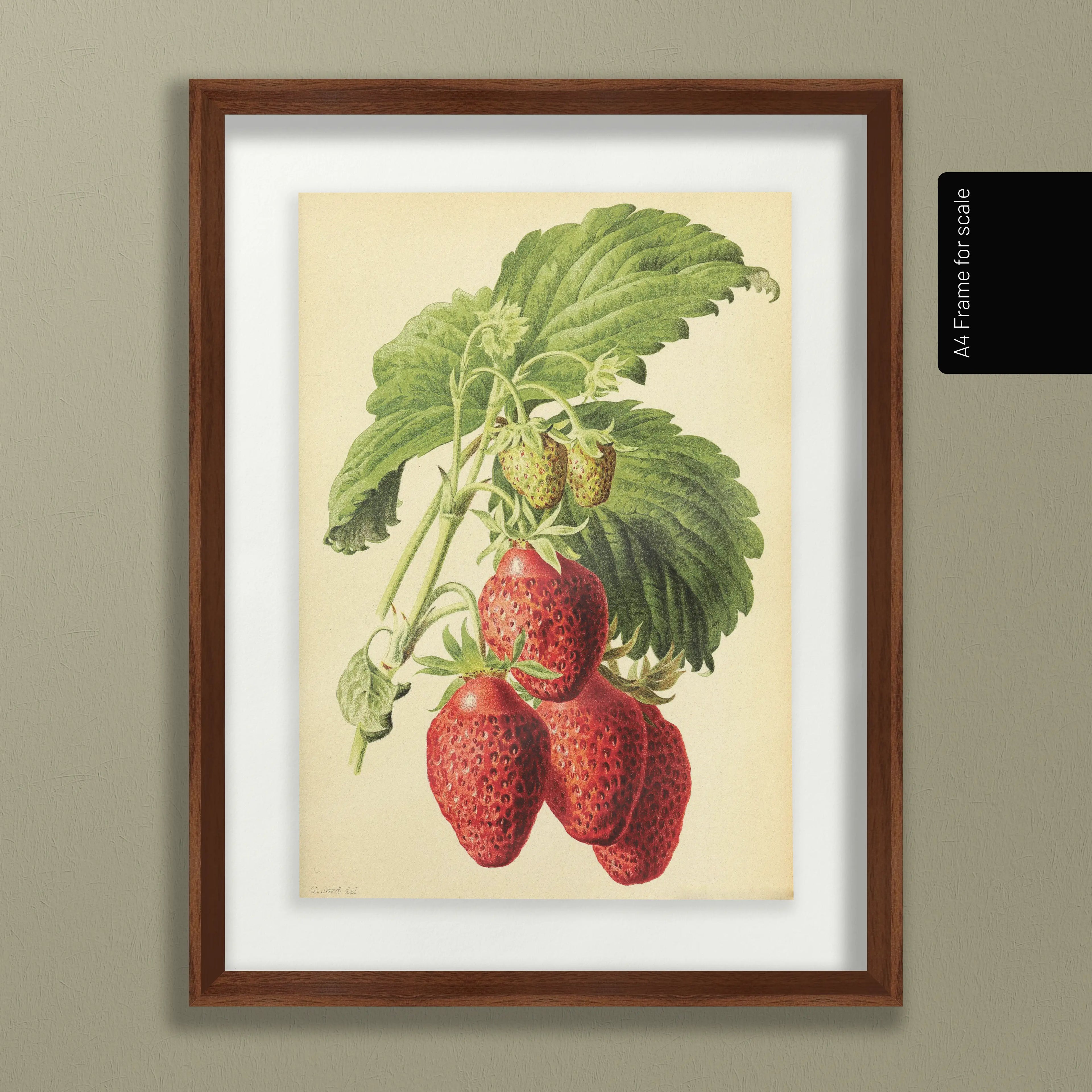 Fruits & Vegetables: Plate No. 10