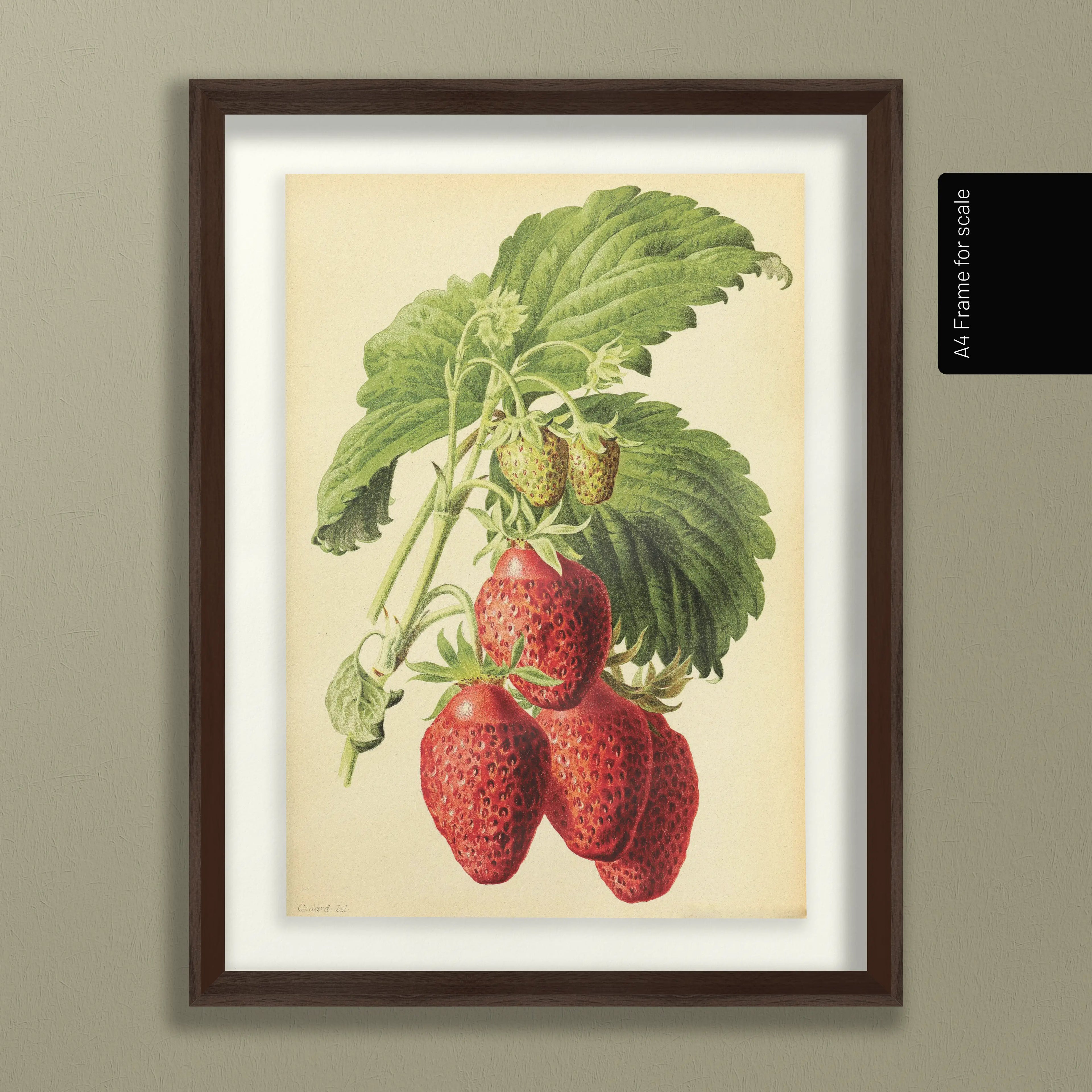 Fruits & Vegetables: Plate No. 10