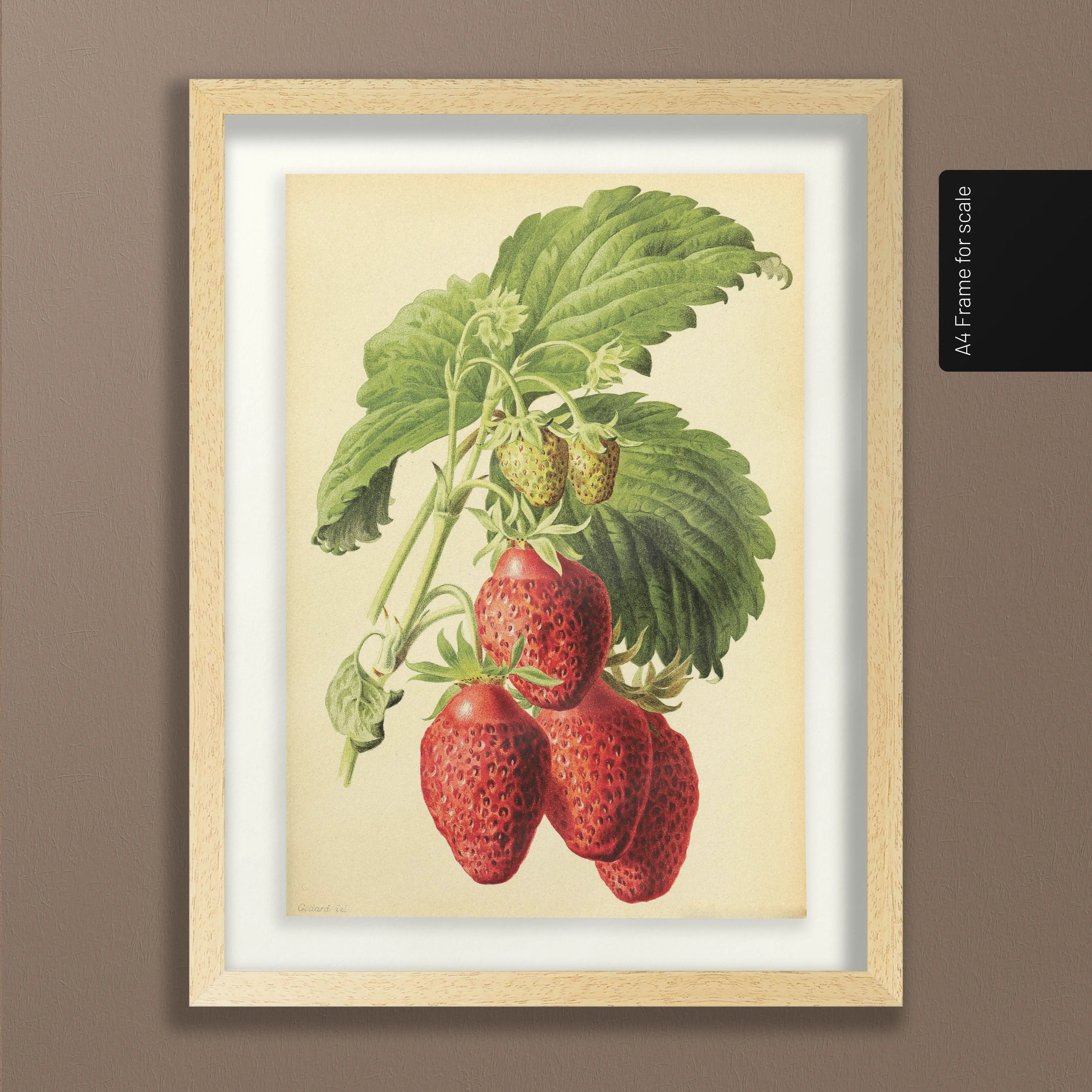 Fruits & Vegetables: Plate No. 10