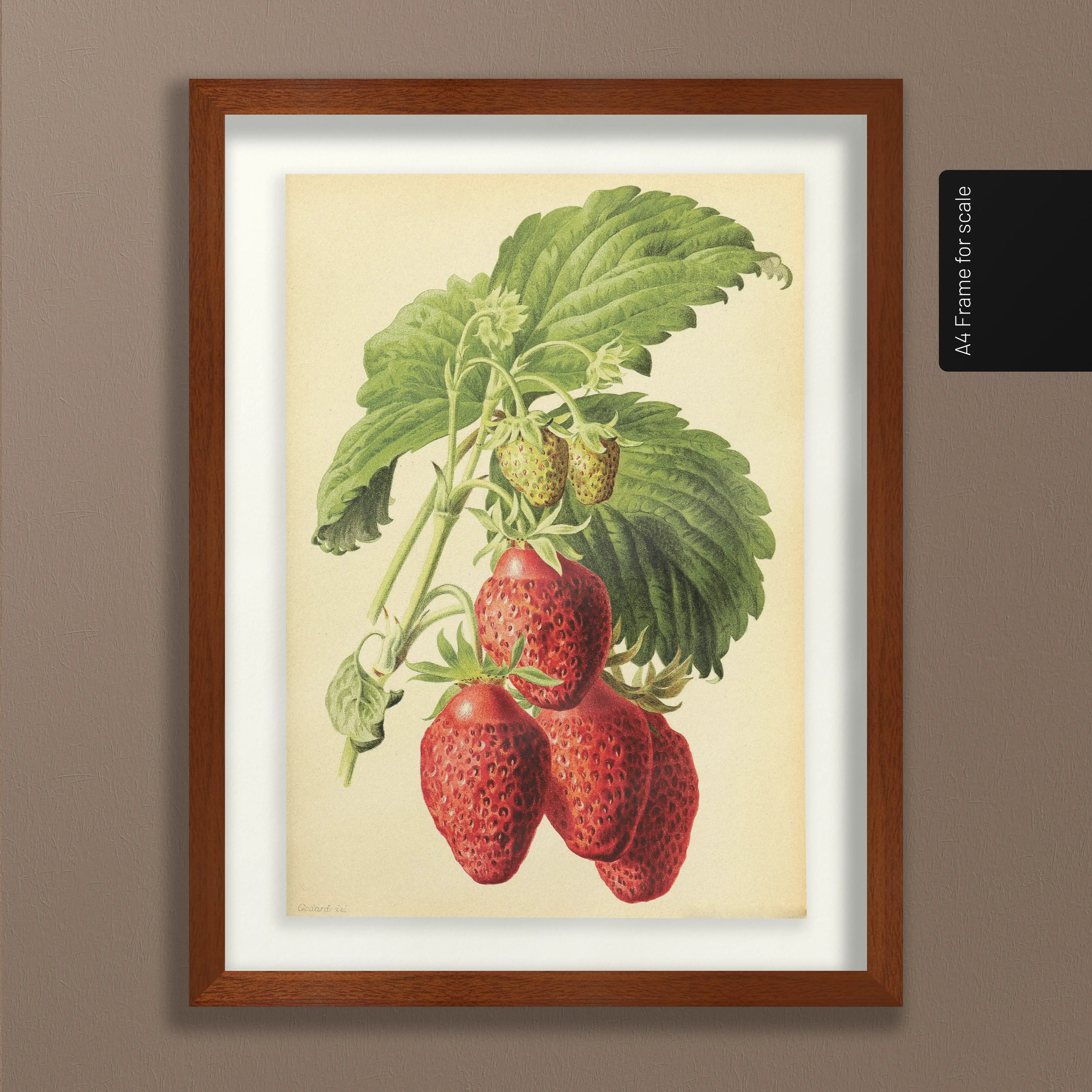 Fruits & Vegetables: Plate No. 10