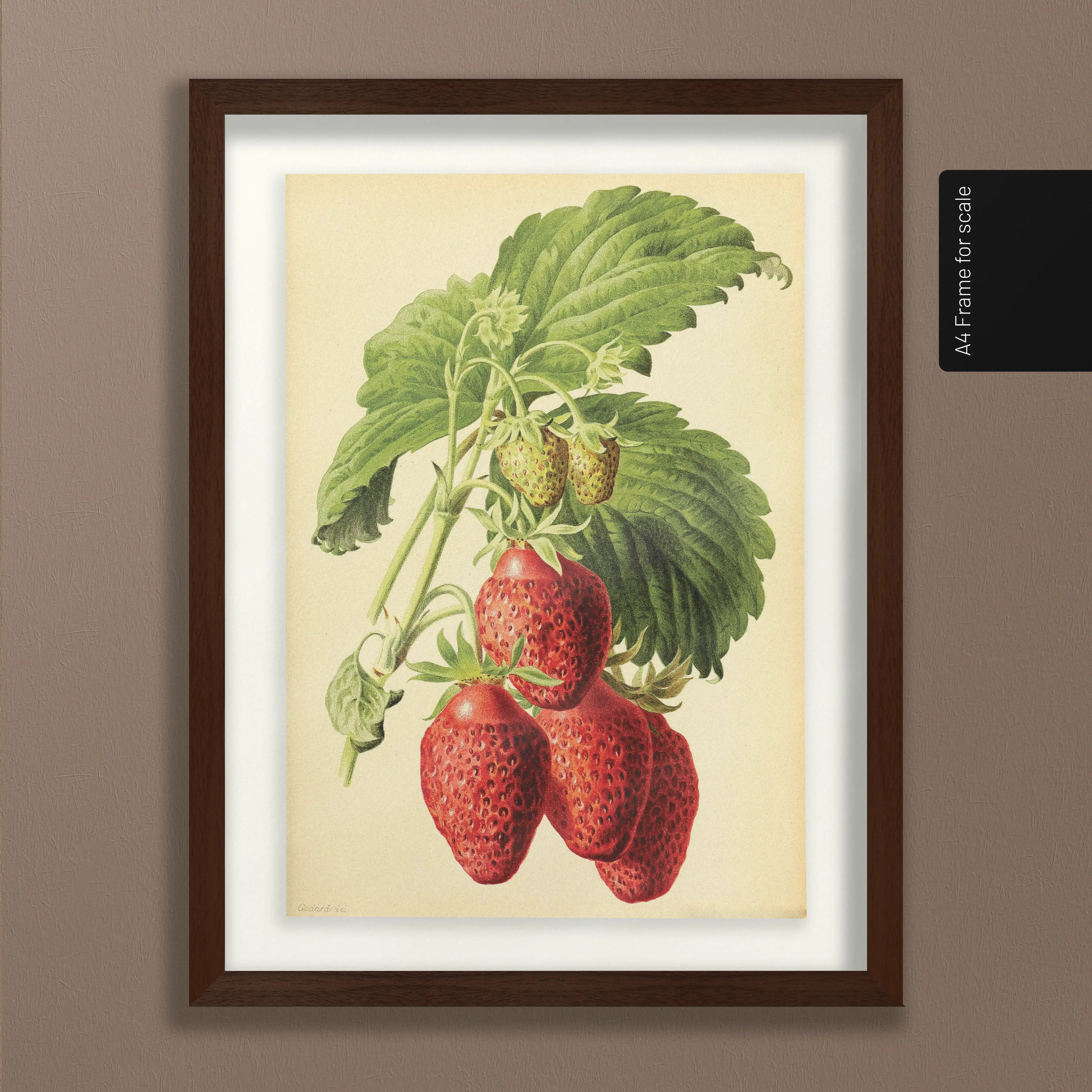 Fruits & Vegetables: Plate No. 10