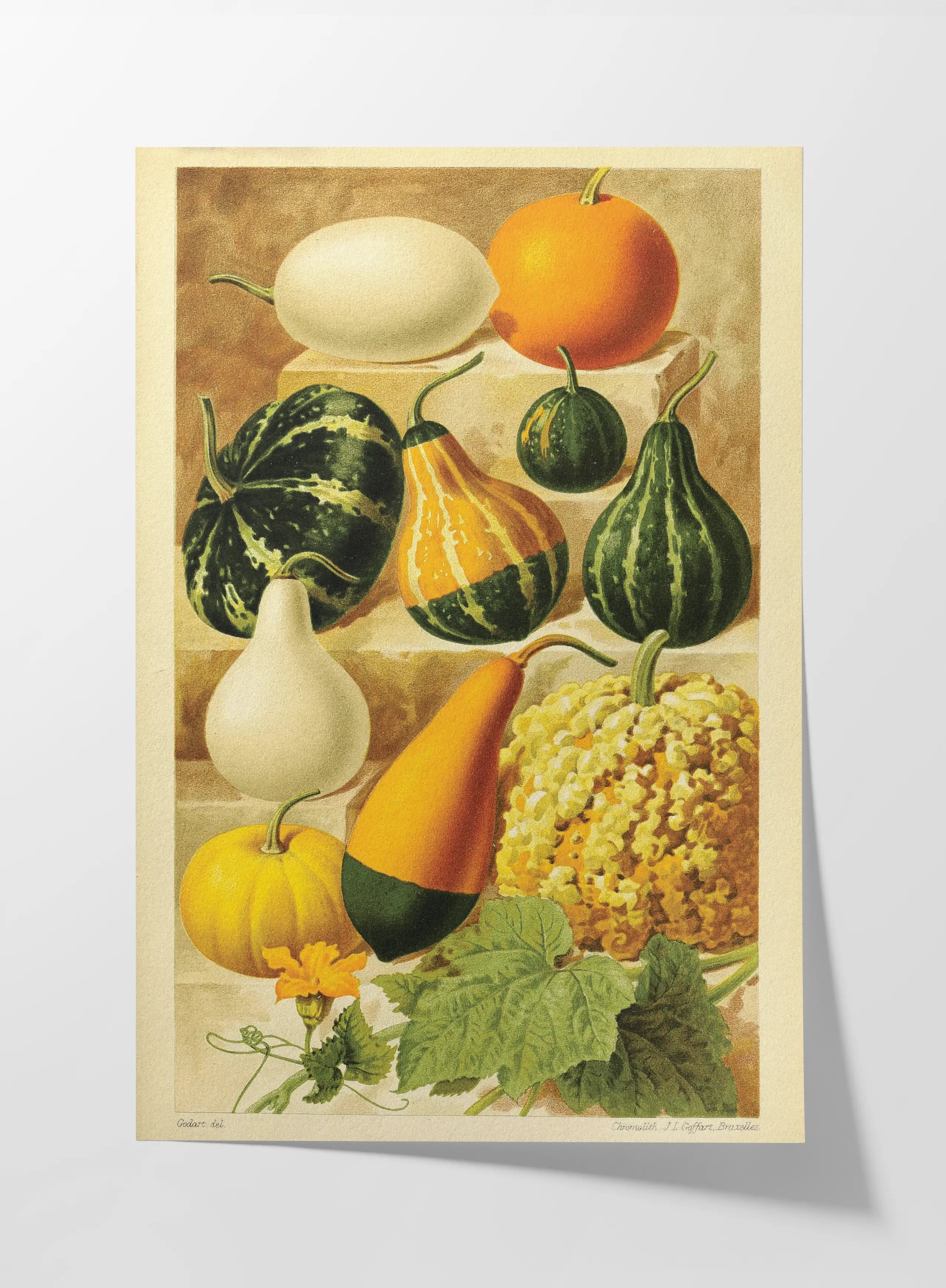 Fruits & Vegetables: Plate No. 12
