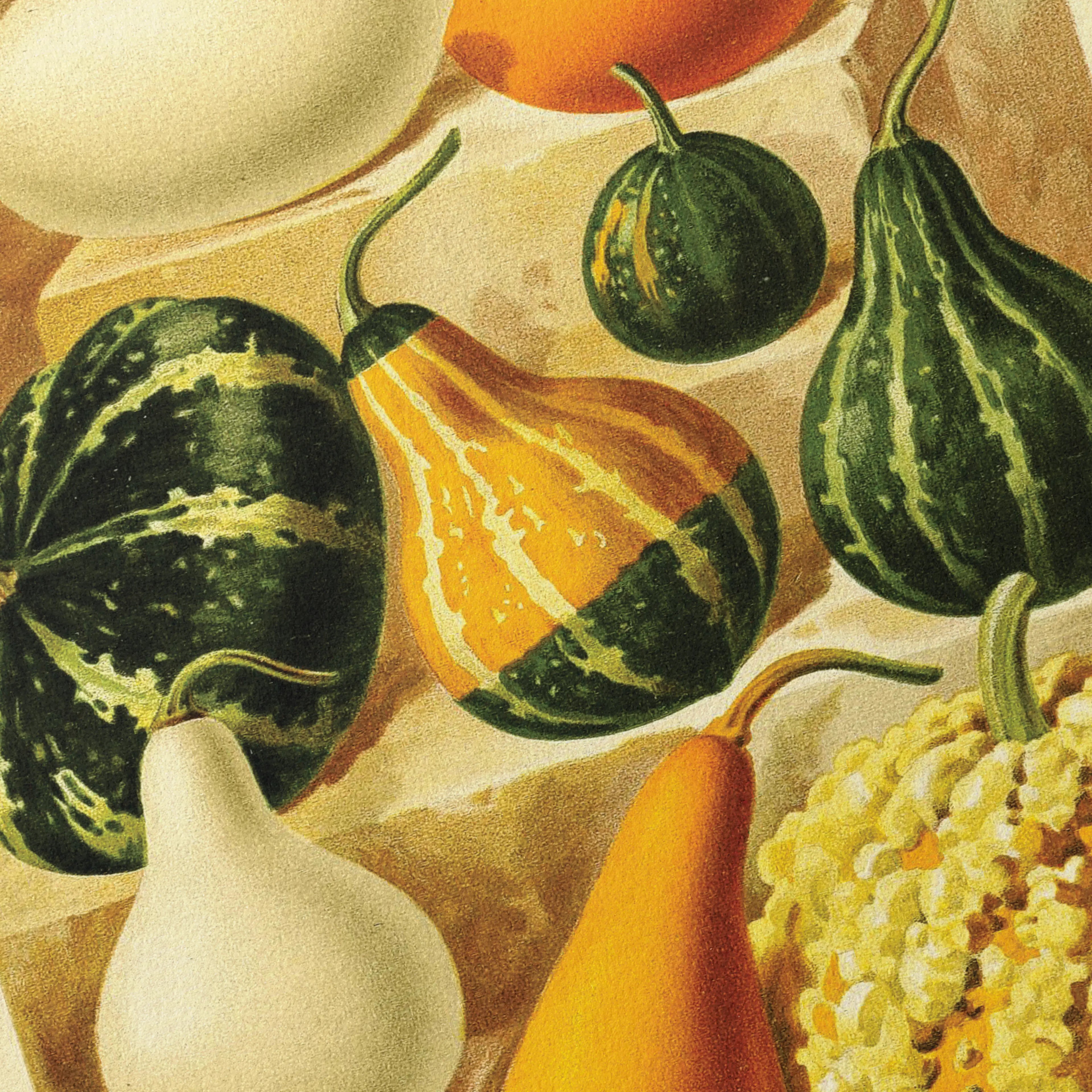 Fruits & Vegetables: Plate No. 12