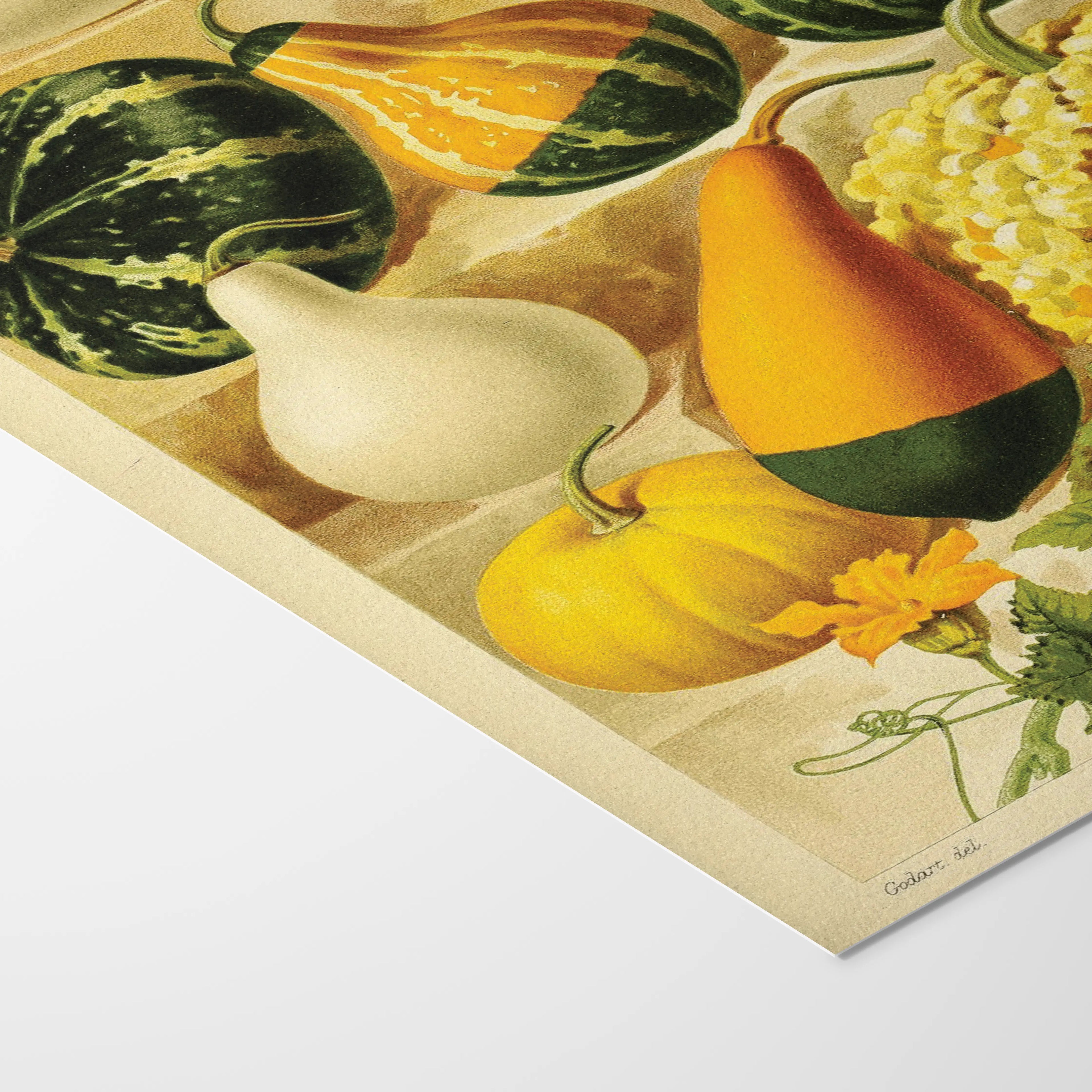 Fruits & Vegetables: Plate No. 12