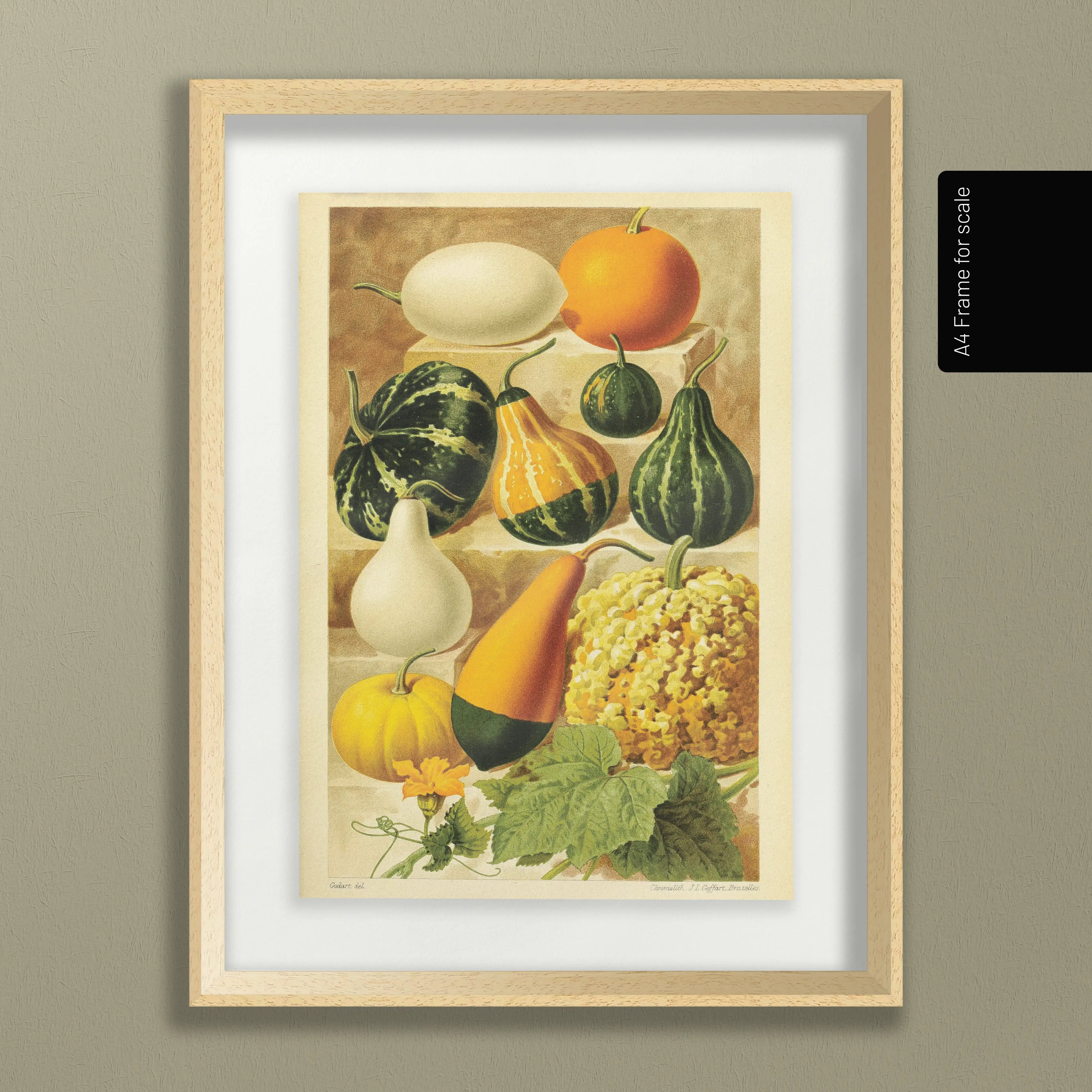 Fruits & Vegetables: Plate No. 12