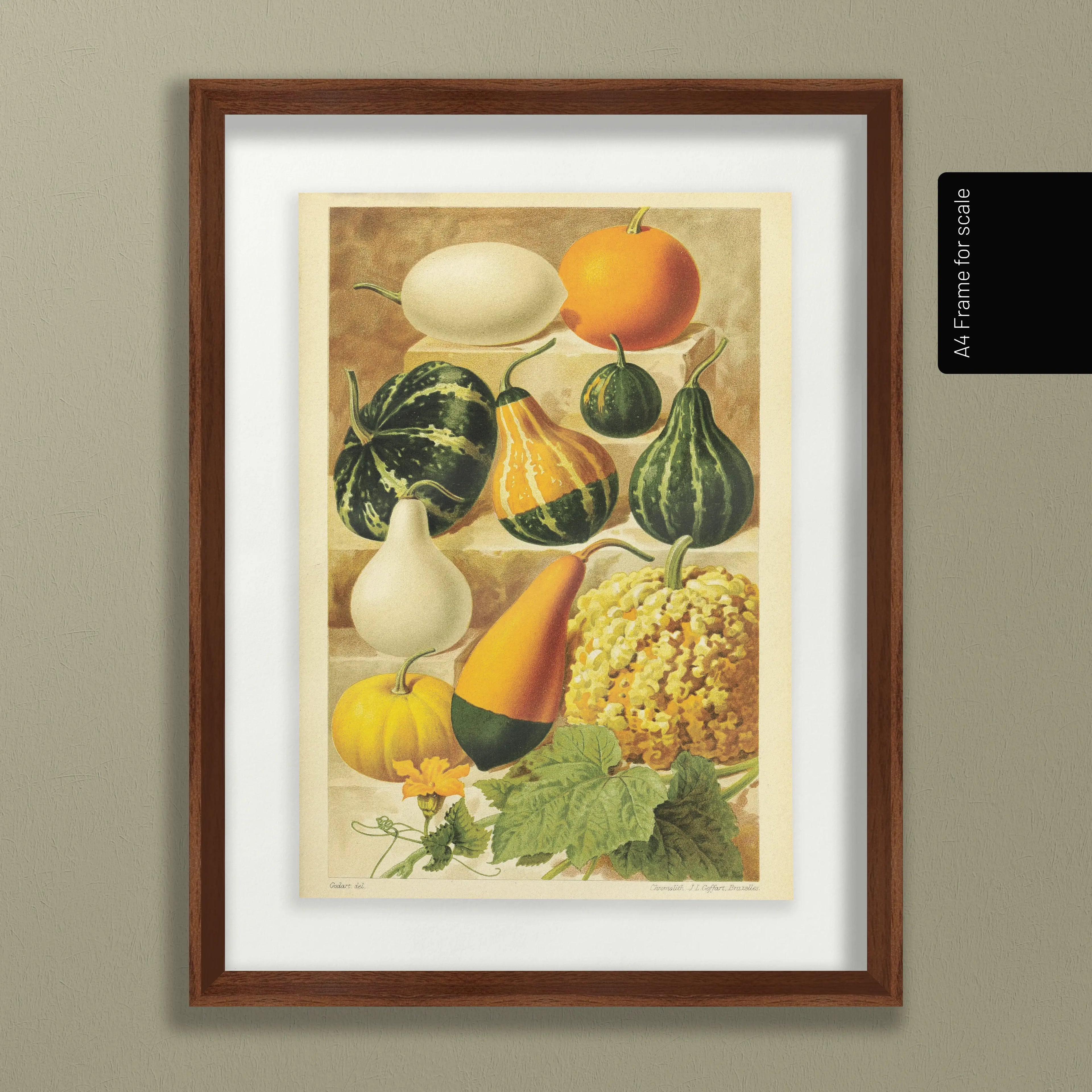 Fruits & Vegetables: Plate No. 12