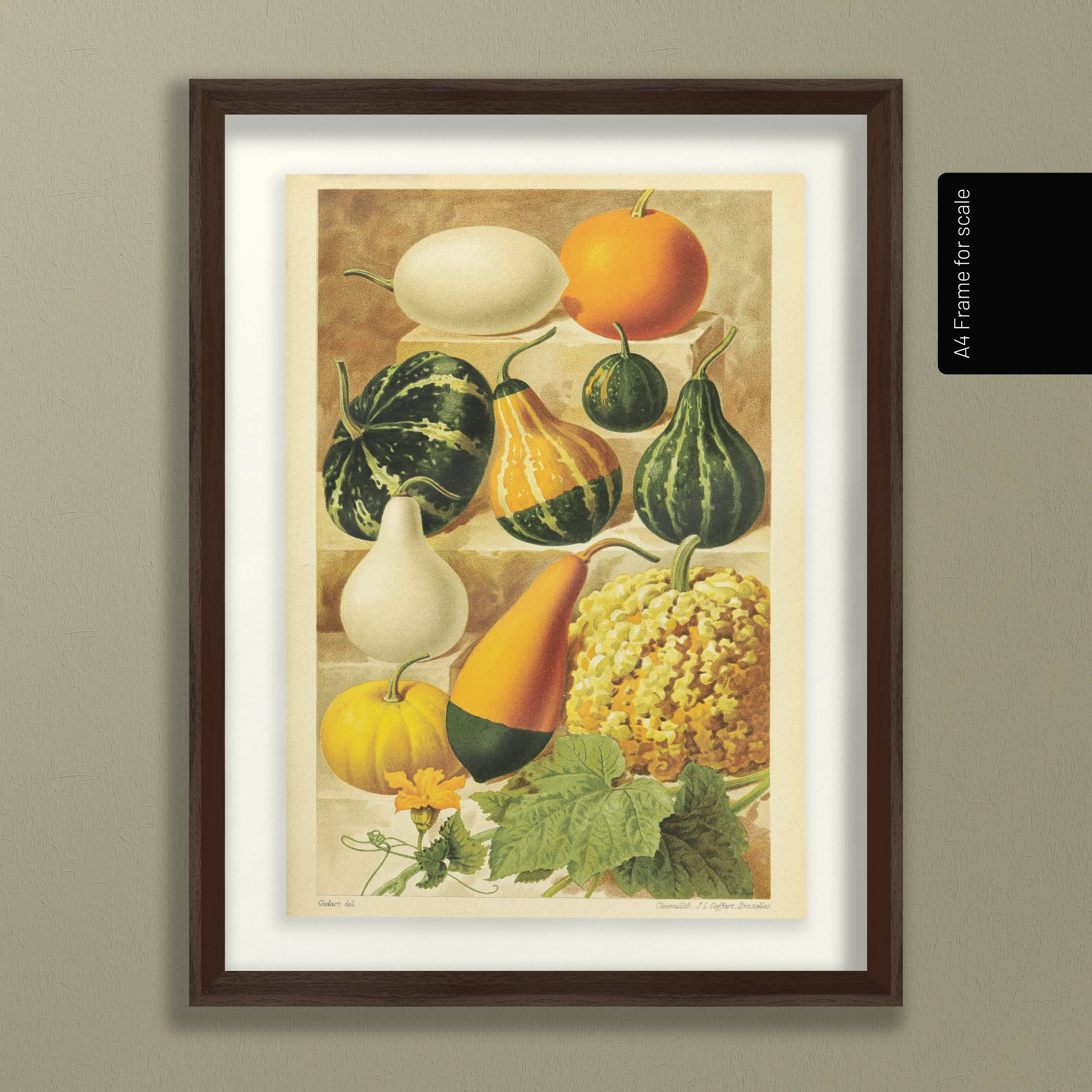 Fruits & Vegetables: Plate No. 12