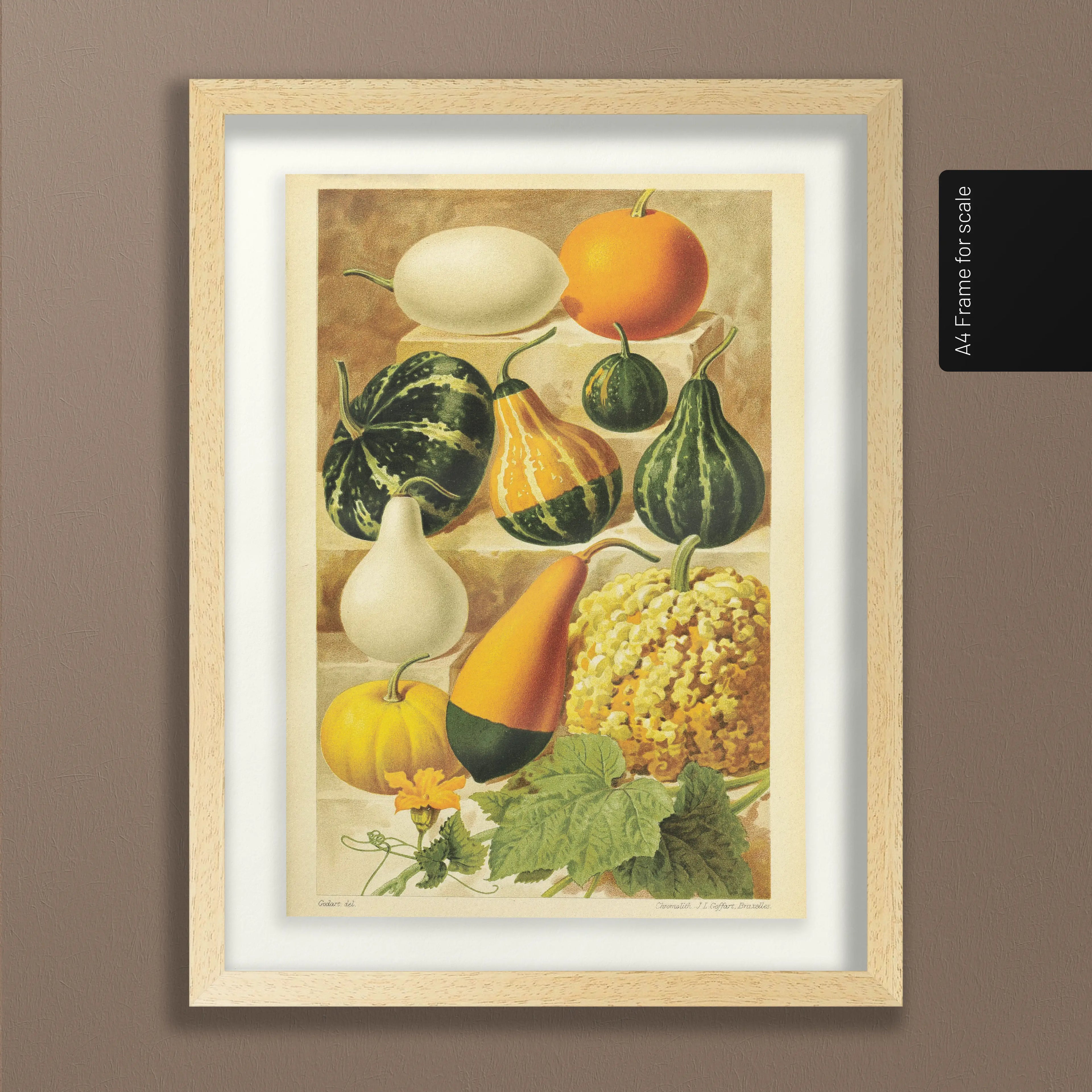 Fruits & Vegetables: Plate No. 12