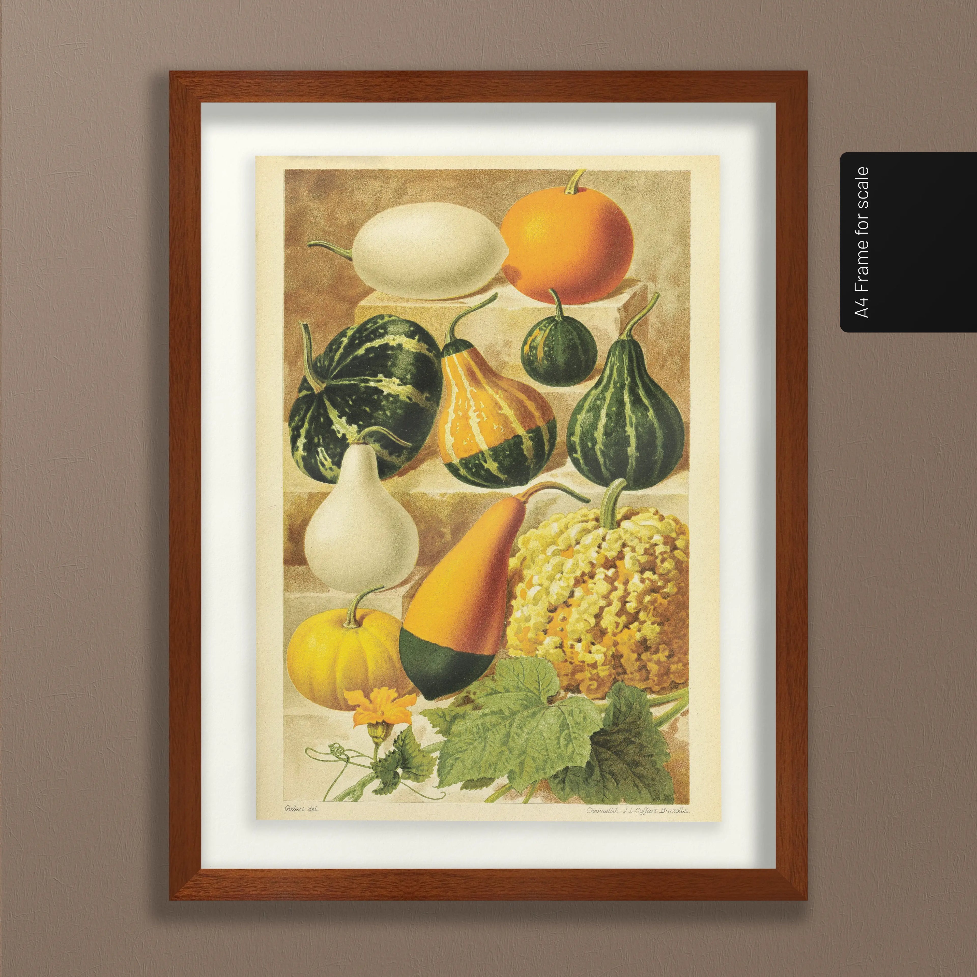 Fruits & Vegetables: Plate No. 12