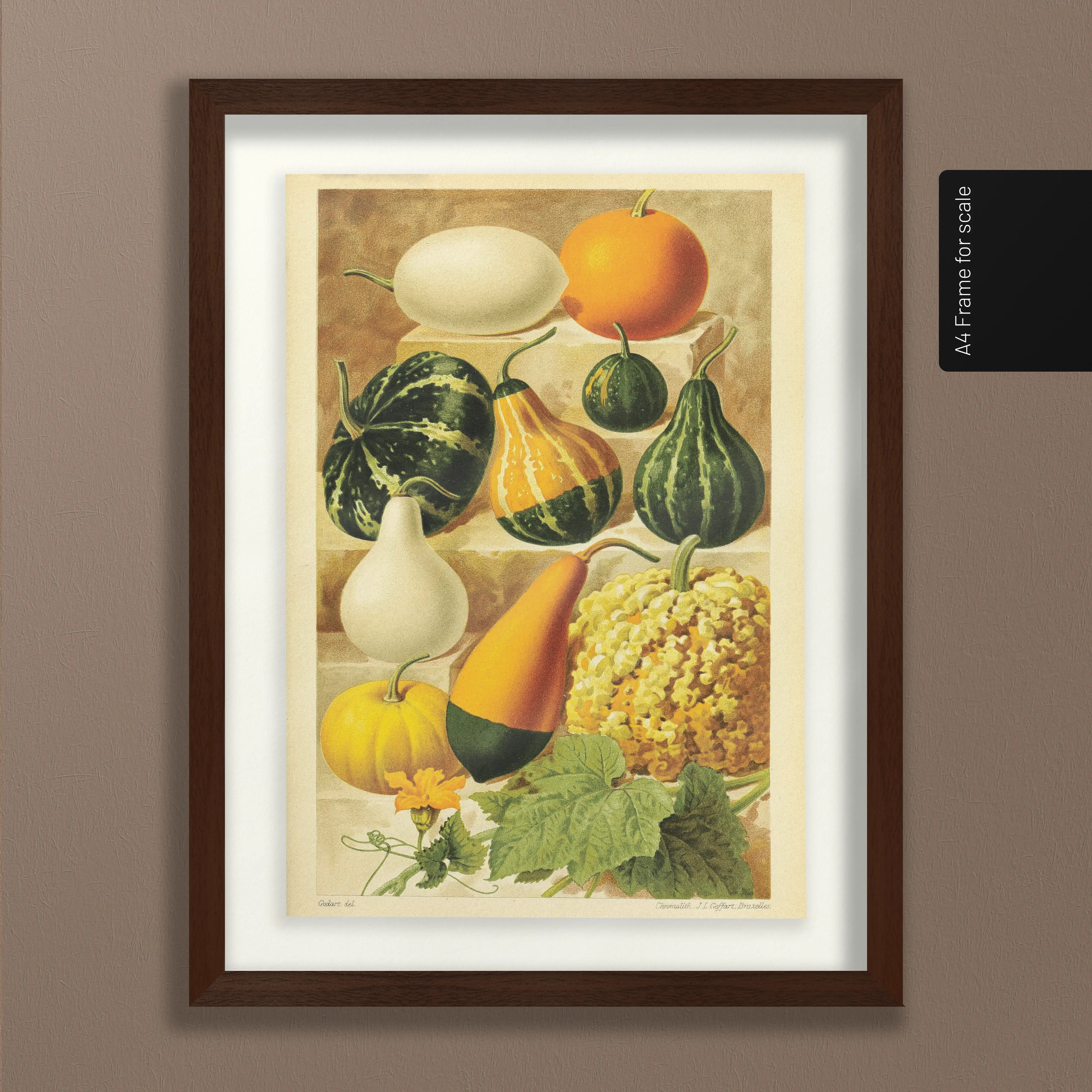 Fruits & Vegetables: Plate No. 12