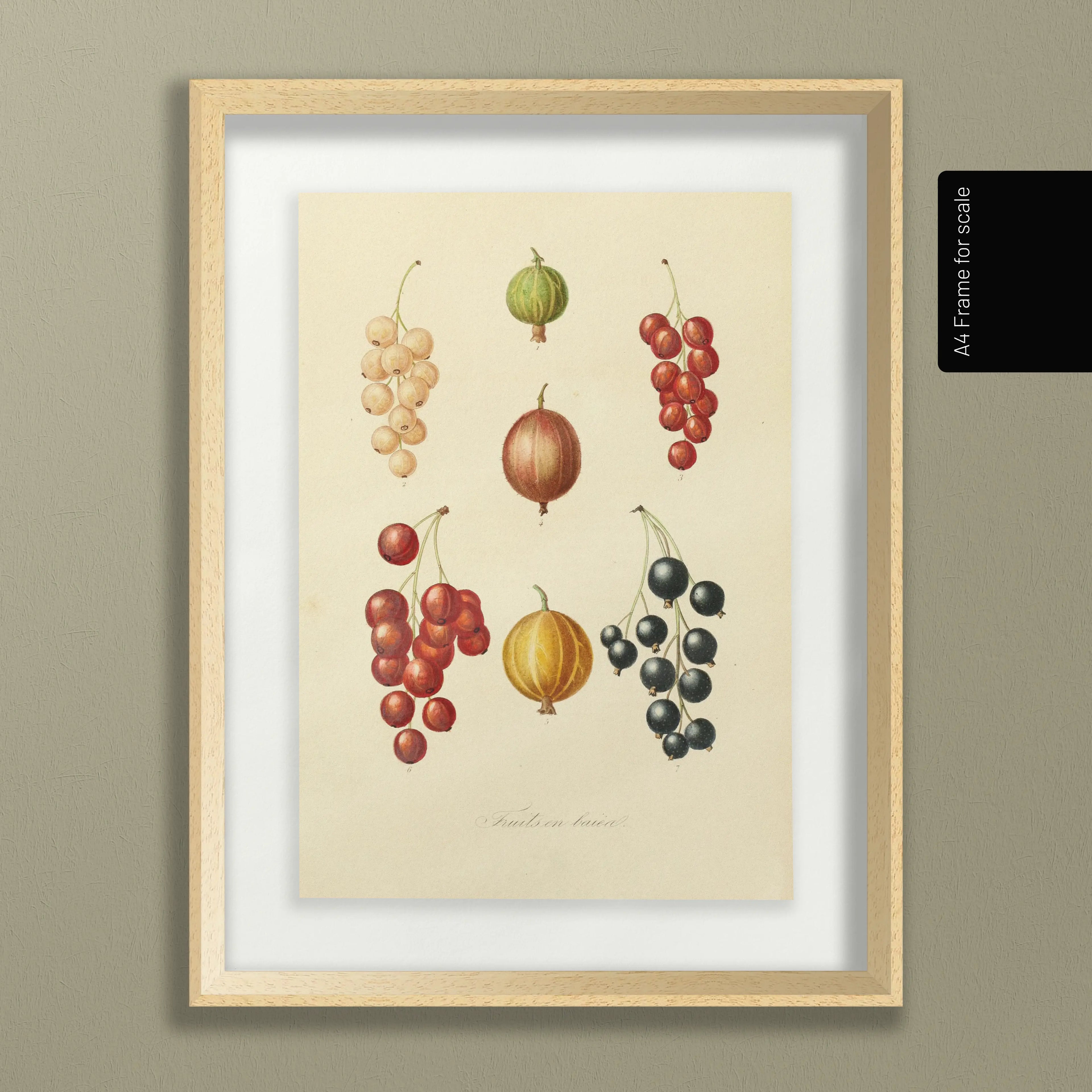 Fruits & Vegetables: Plate No. 17