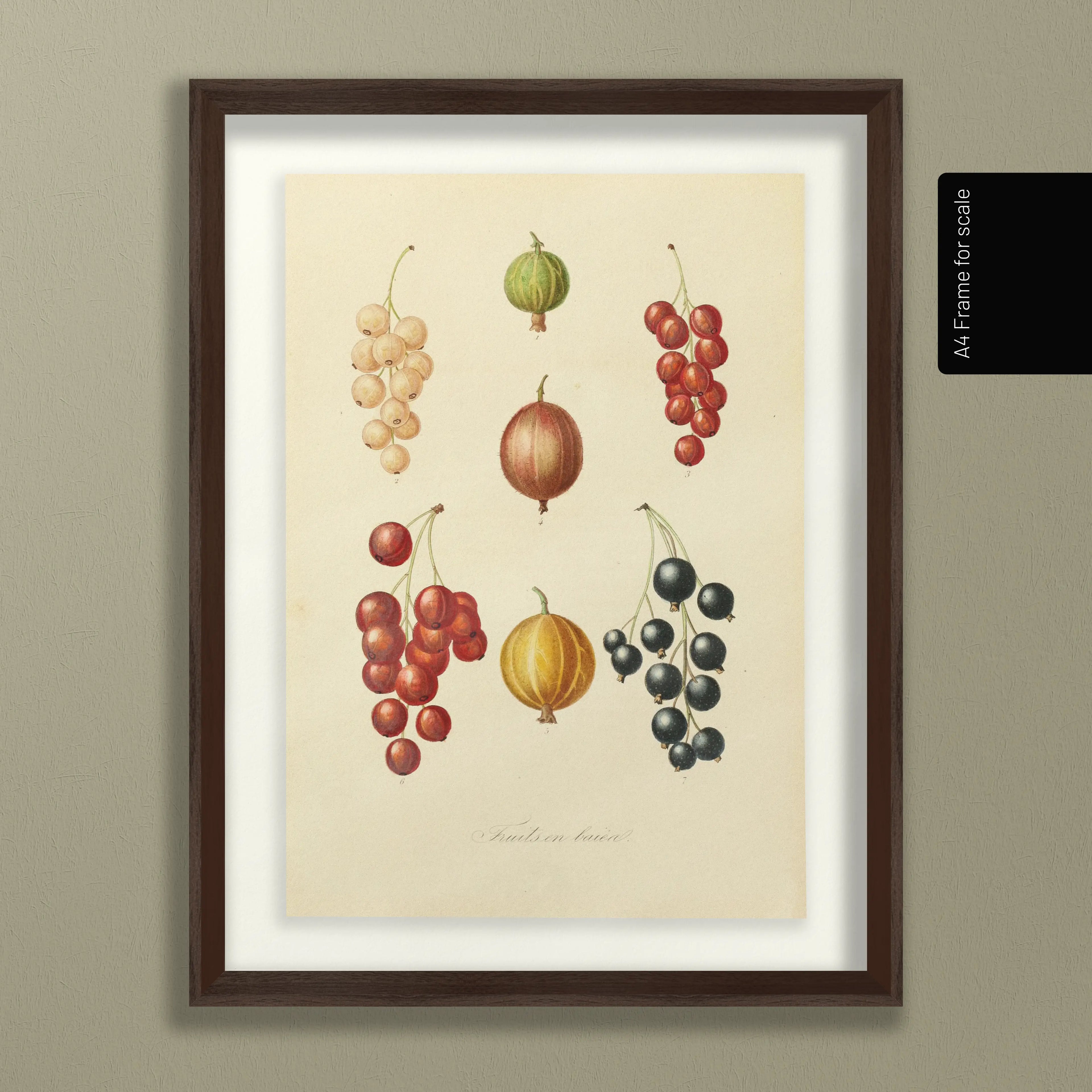 Fruits & Vegetables: Plate No. 17